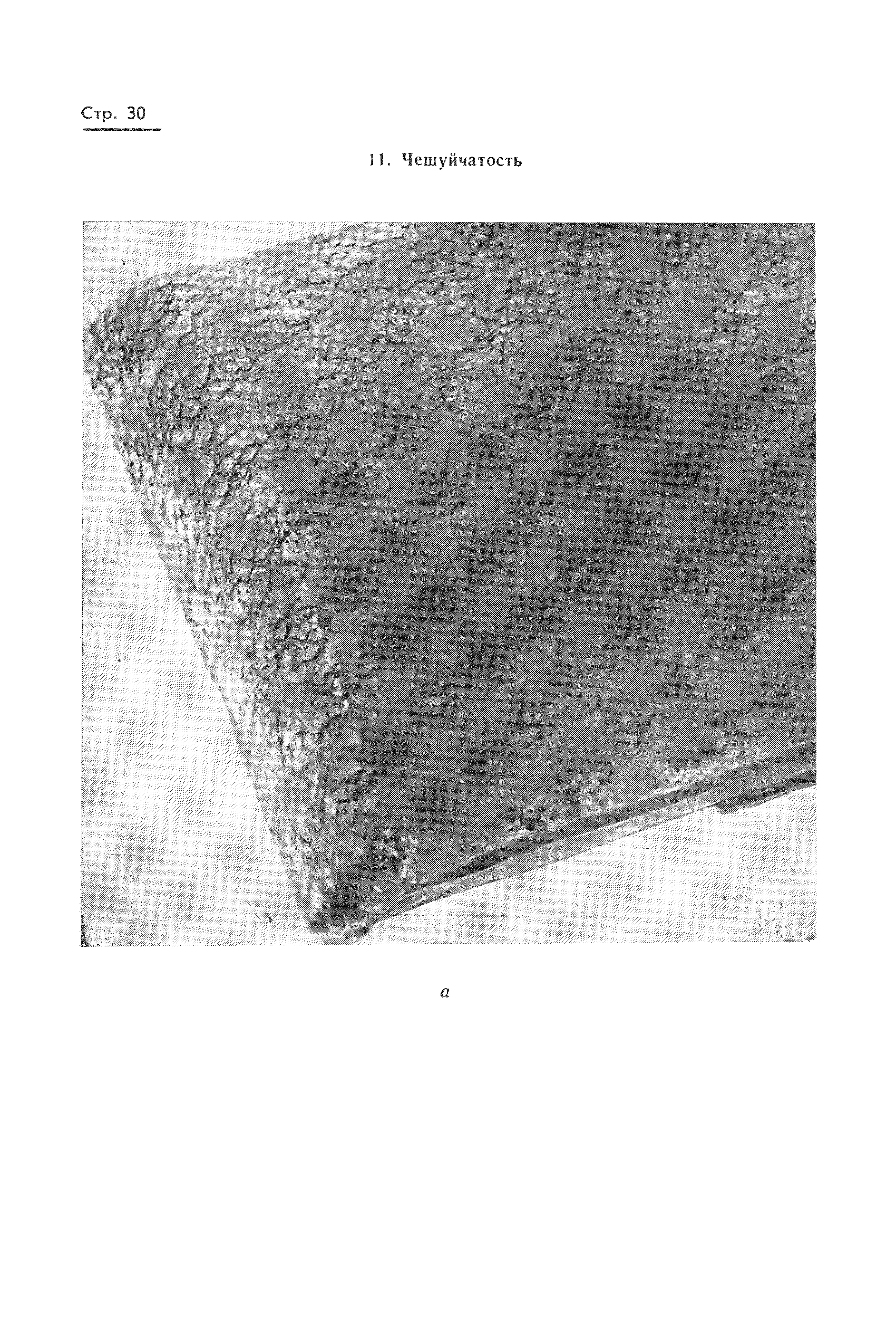 Страница 31 ГОСТ 20847-75