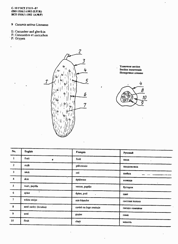 Страница 13 ГОСТ 27519-87