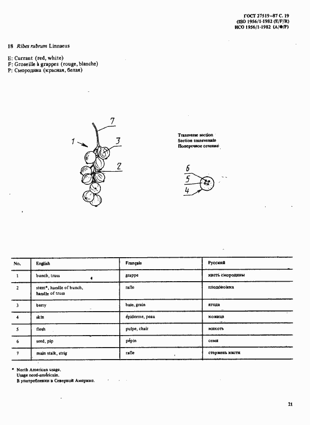 Страница 22 ГОСТ 27519-87