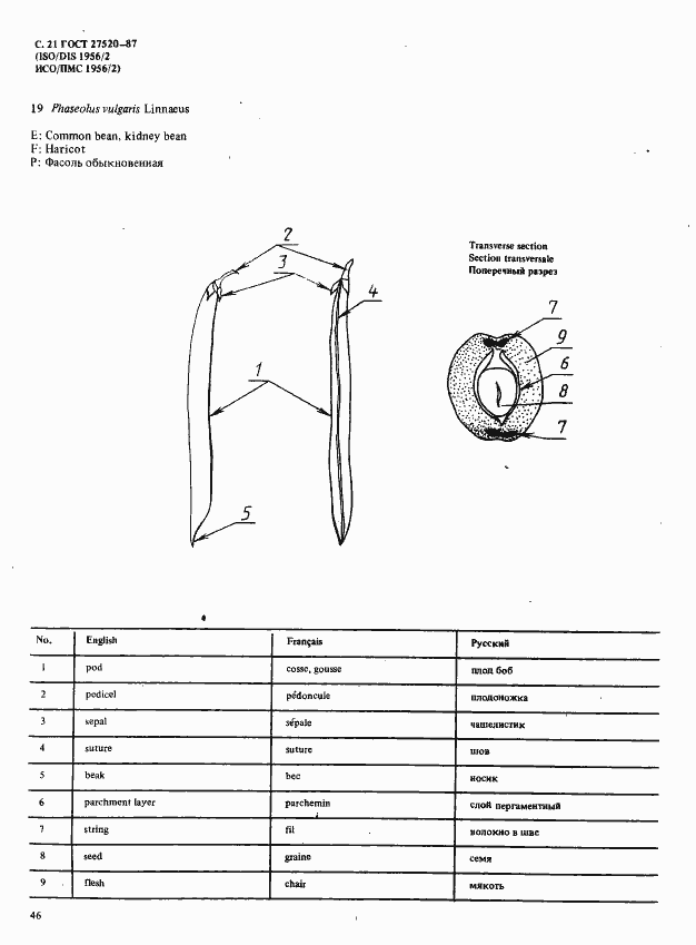 Страница 21 ГОСТ 27520-87