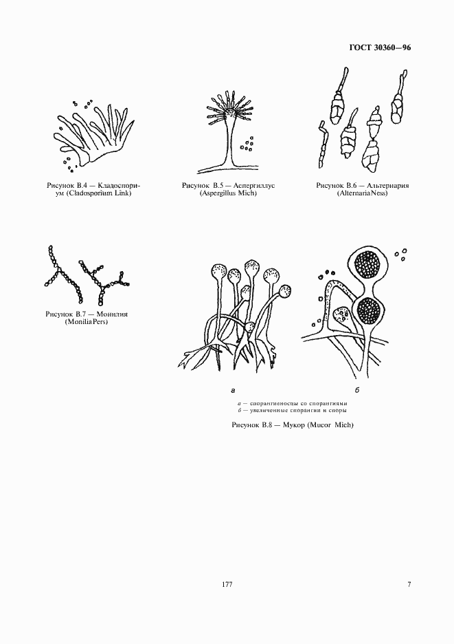 Страница 9 ГОСТ 30360-96