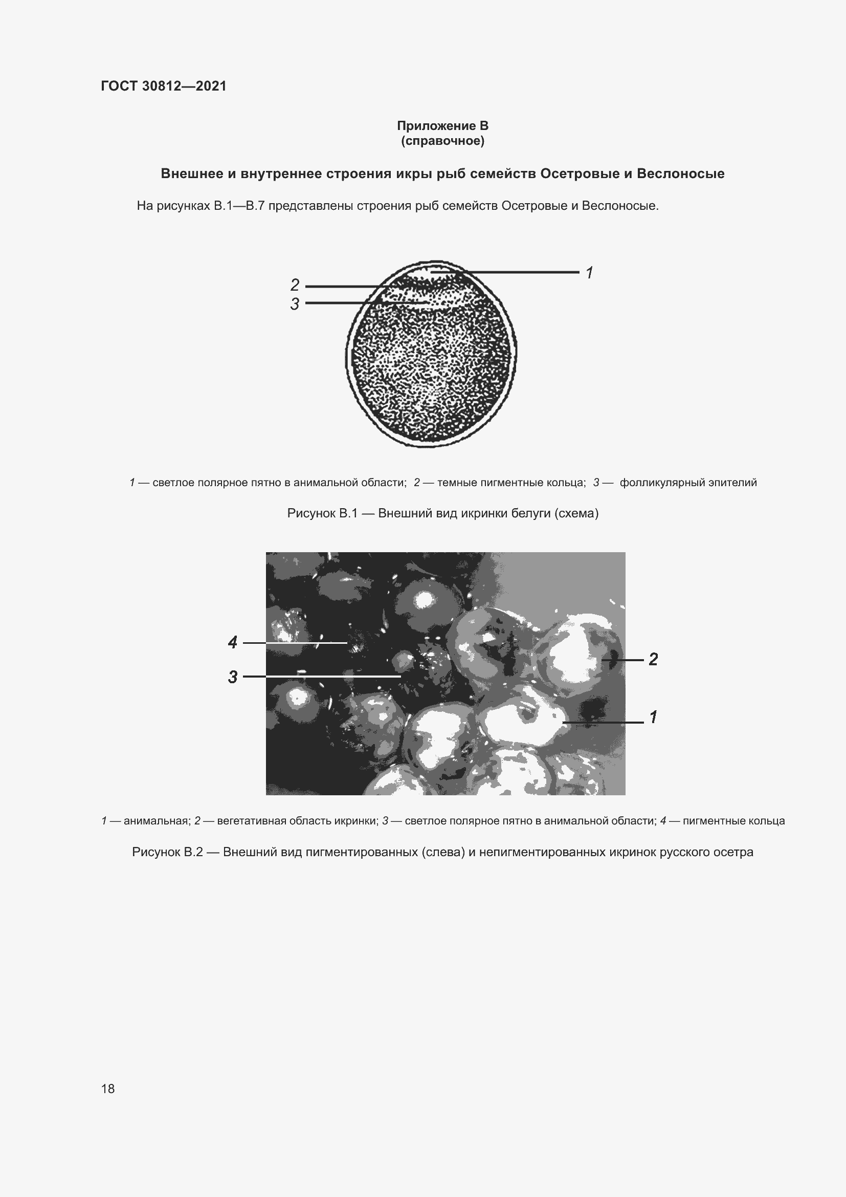 Страница 24 ГОСТ 30812-2021