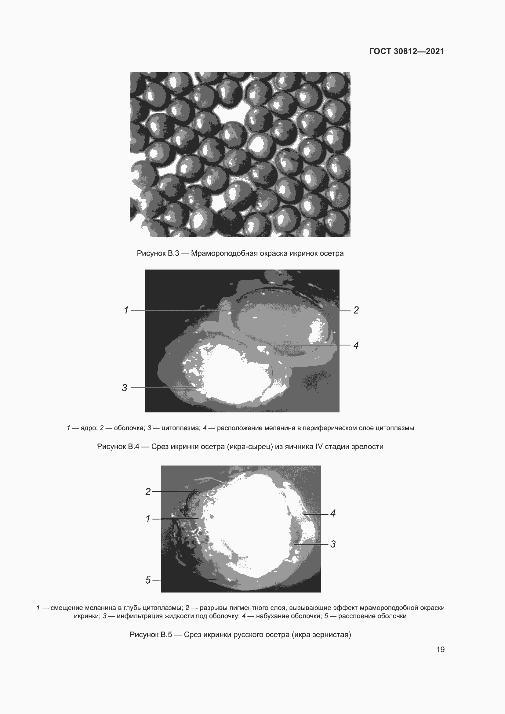 Страница 25 ГОСТ 30812-2021