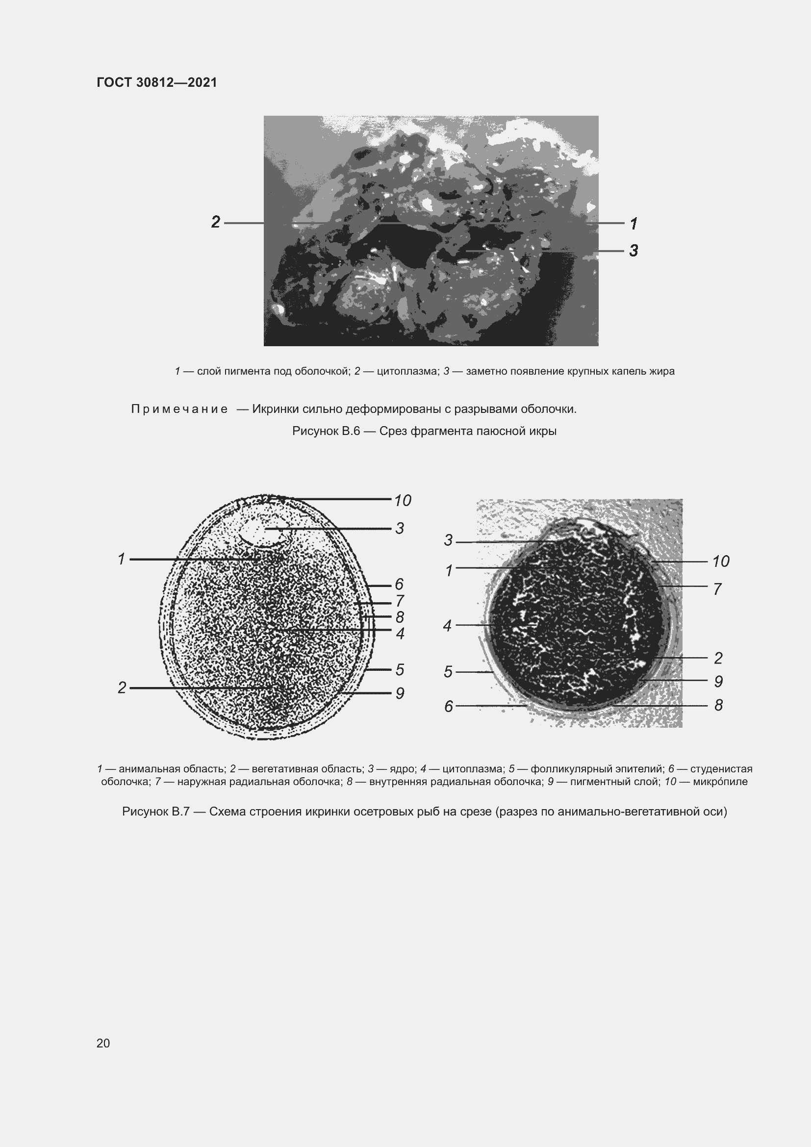 Страница 26 ГОСТ 30812-2021