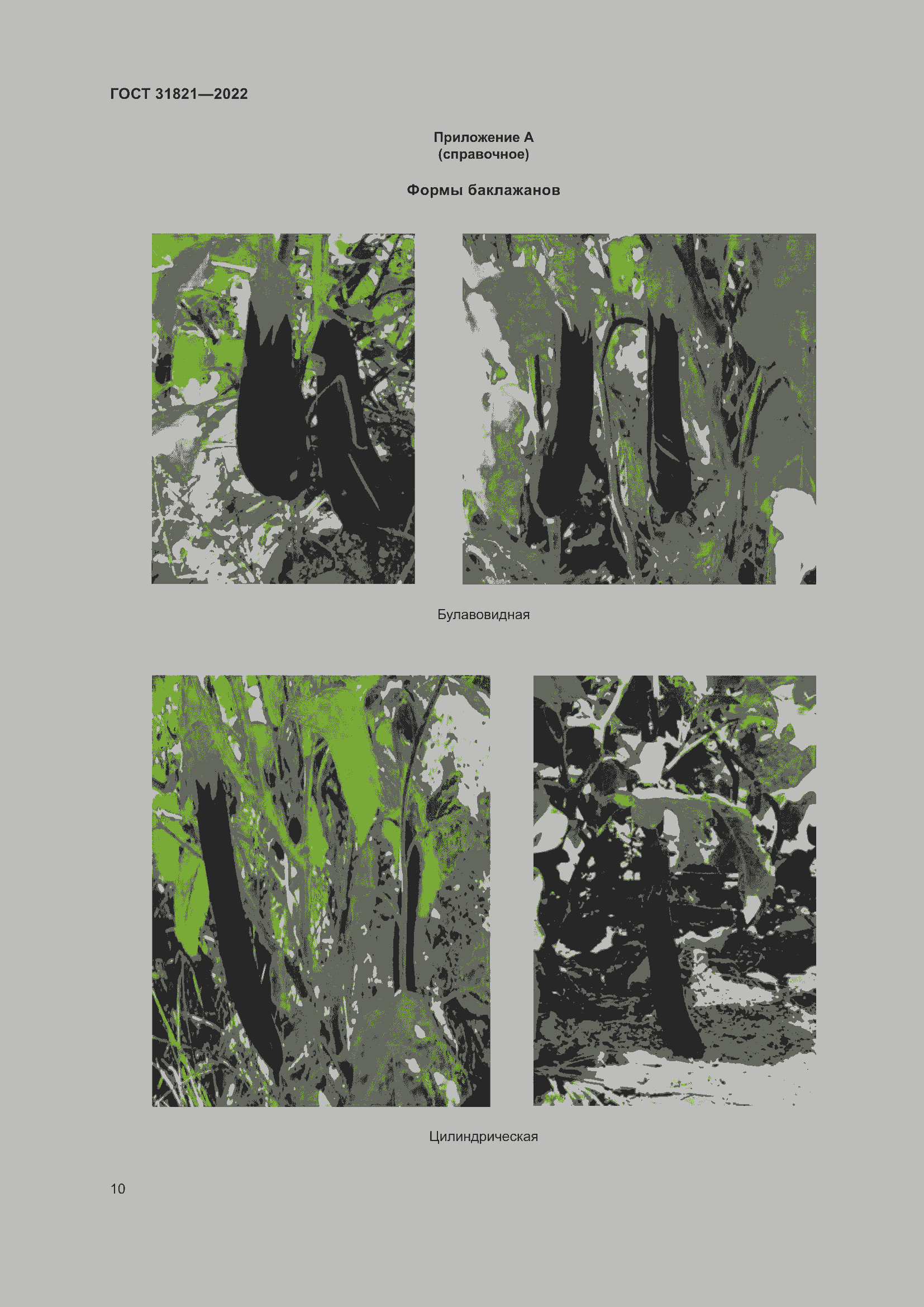 Страница 14 ГОСТ 31821-2022