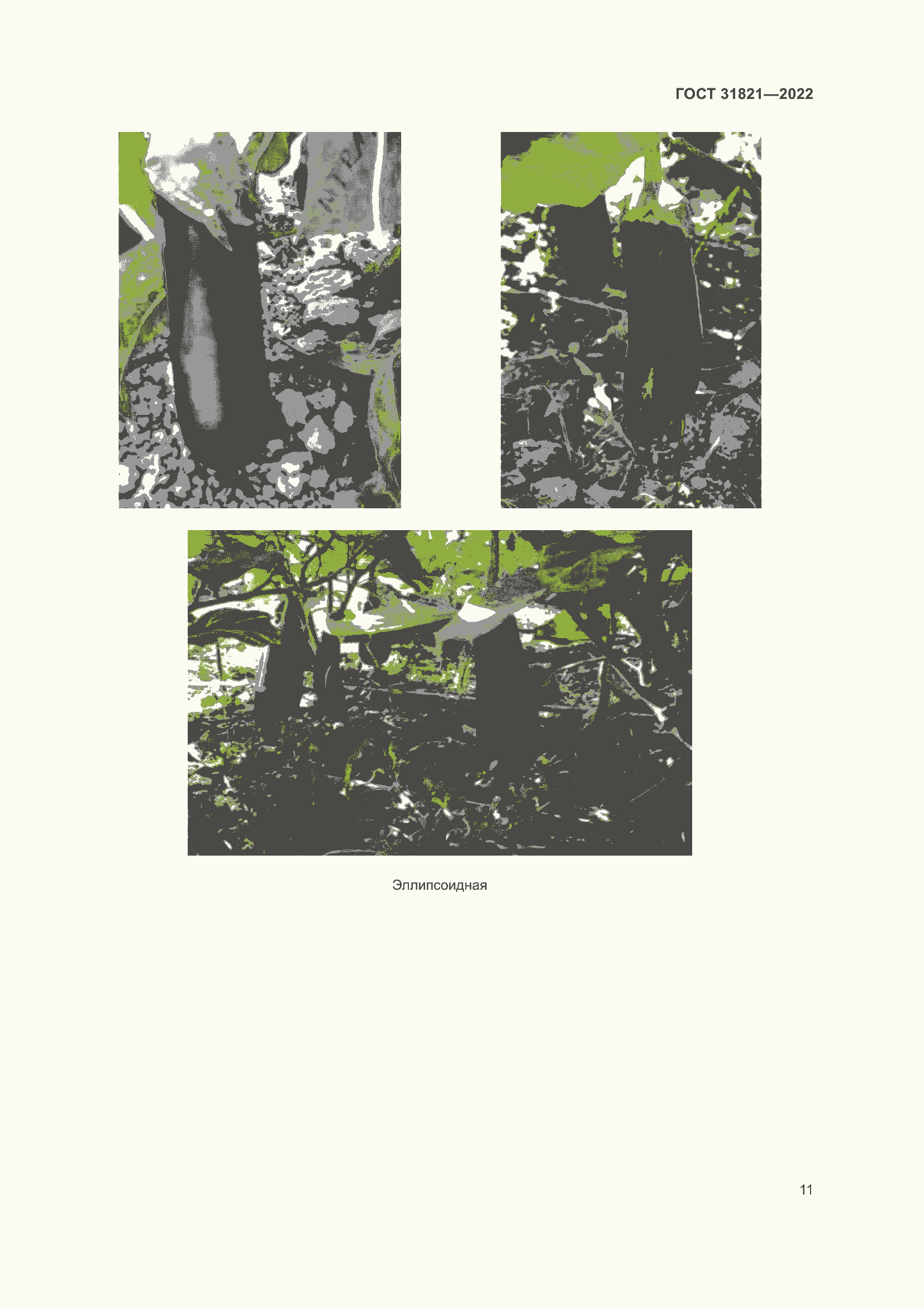 Страница 15 ГОСТ 31821-2022