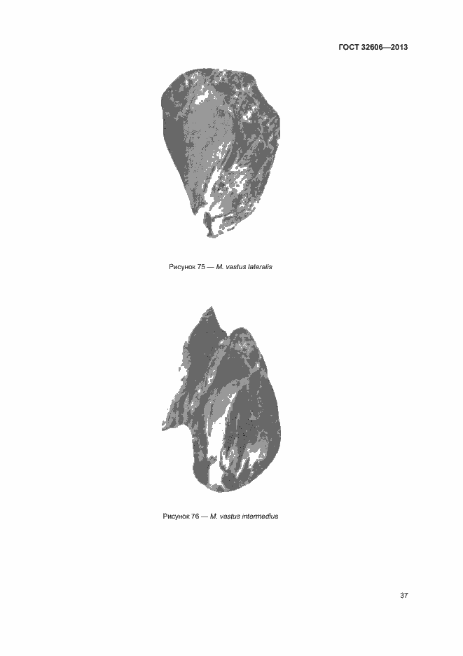 Страница 42 ГОСТ 32606-2013