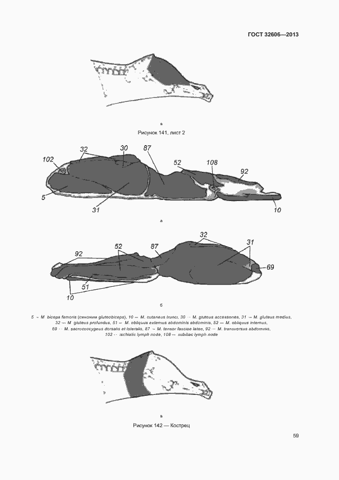 Страница 64 ГОСТ 32606-2013