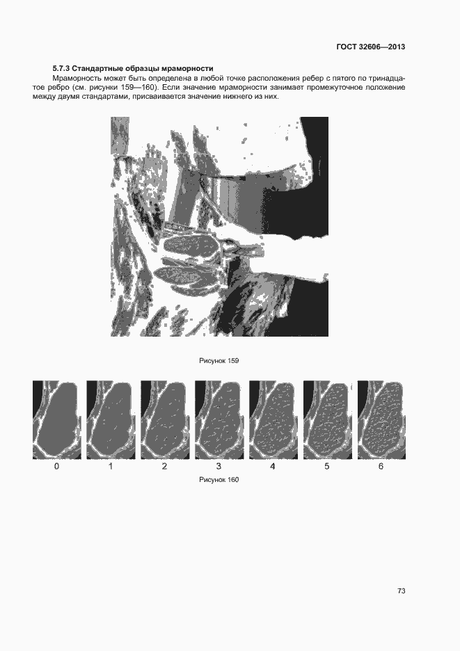 Страница 78 ГОСТ 32606-2013