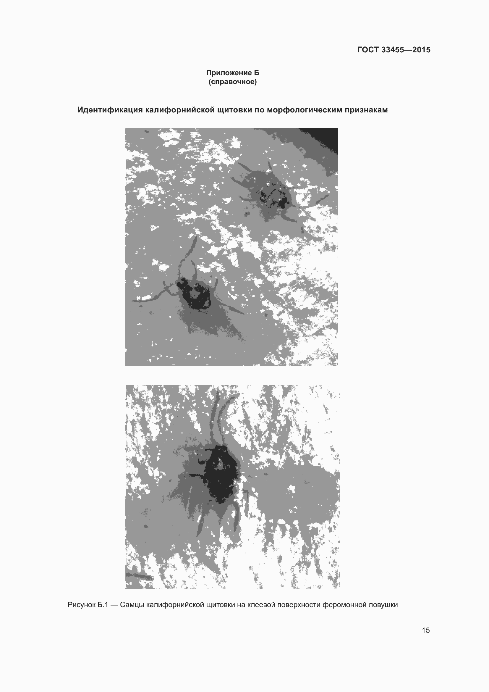 Страница 20 ГОСТ 33455-2015