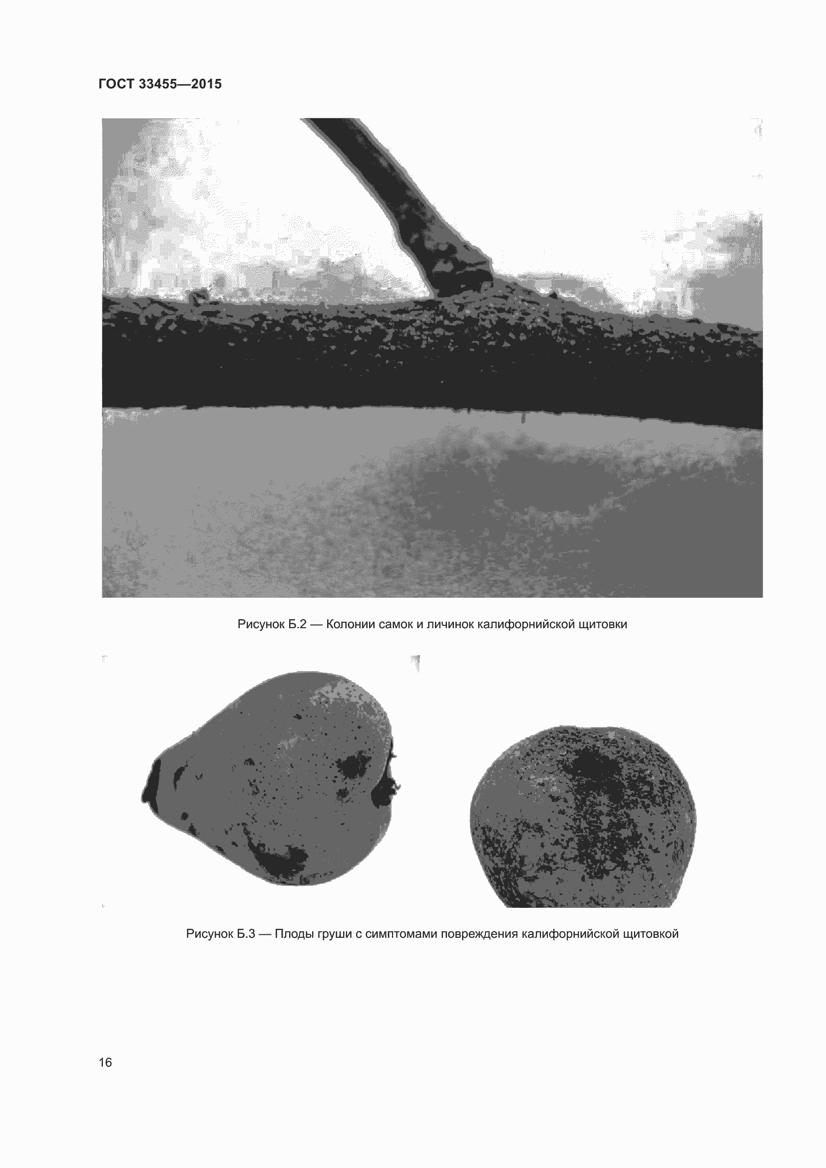Страница 21 ГОСТ 33455-2015