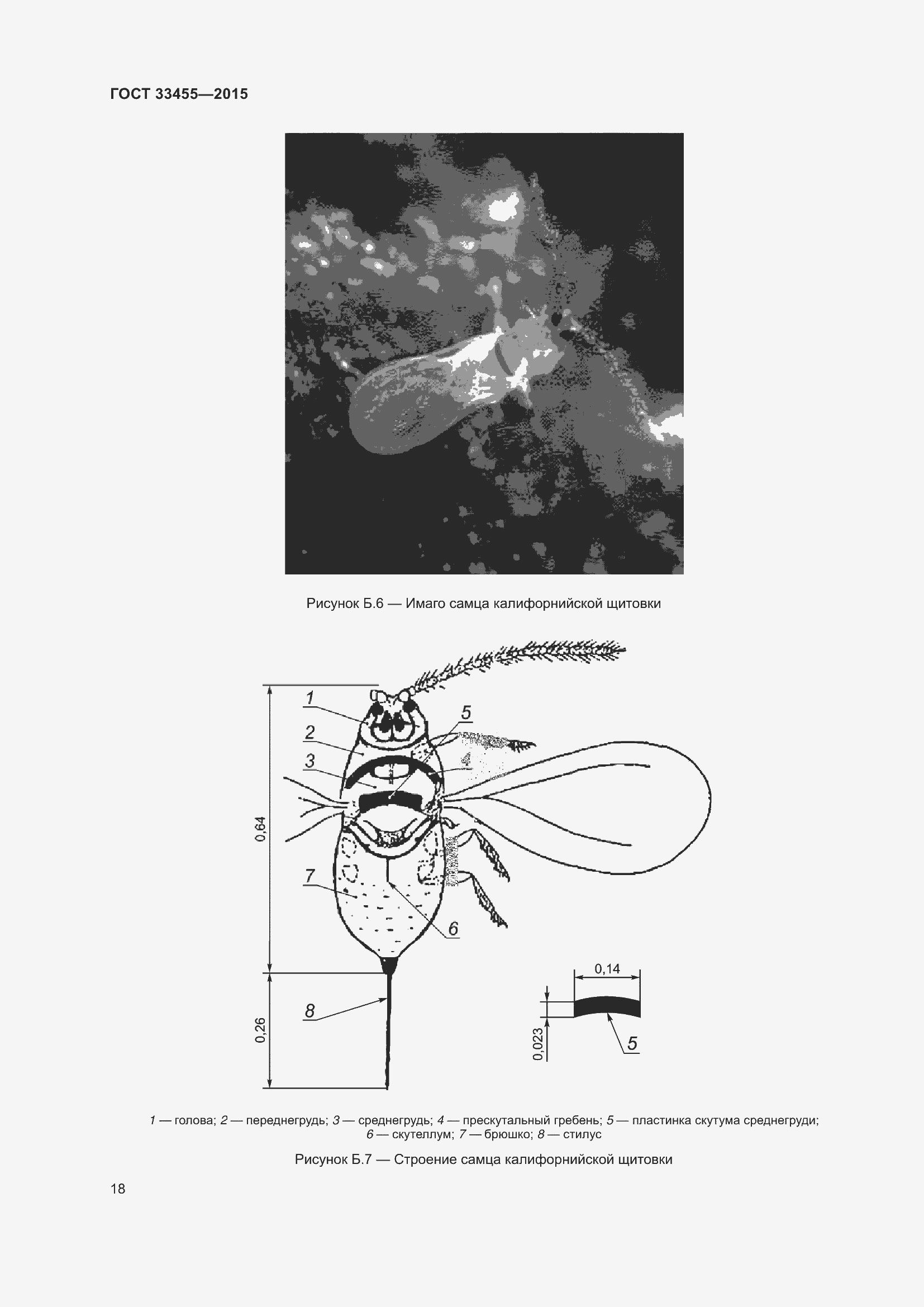 Страница 23 ГОСТ 33455-2015