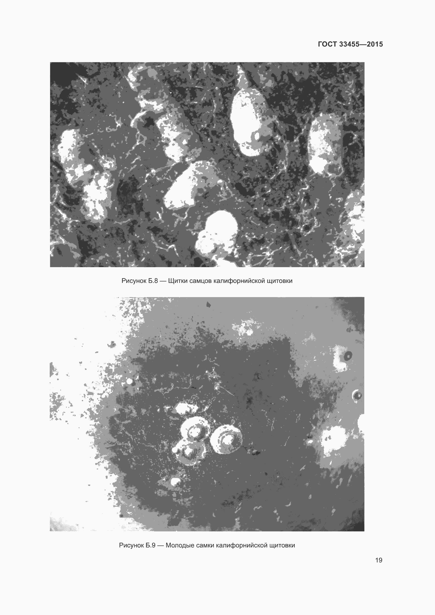 Страница 24 ГОСТ 33455-2015
