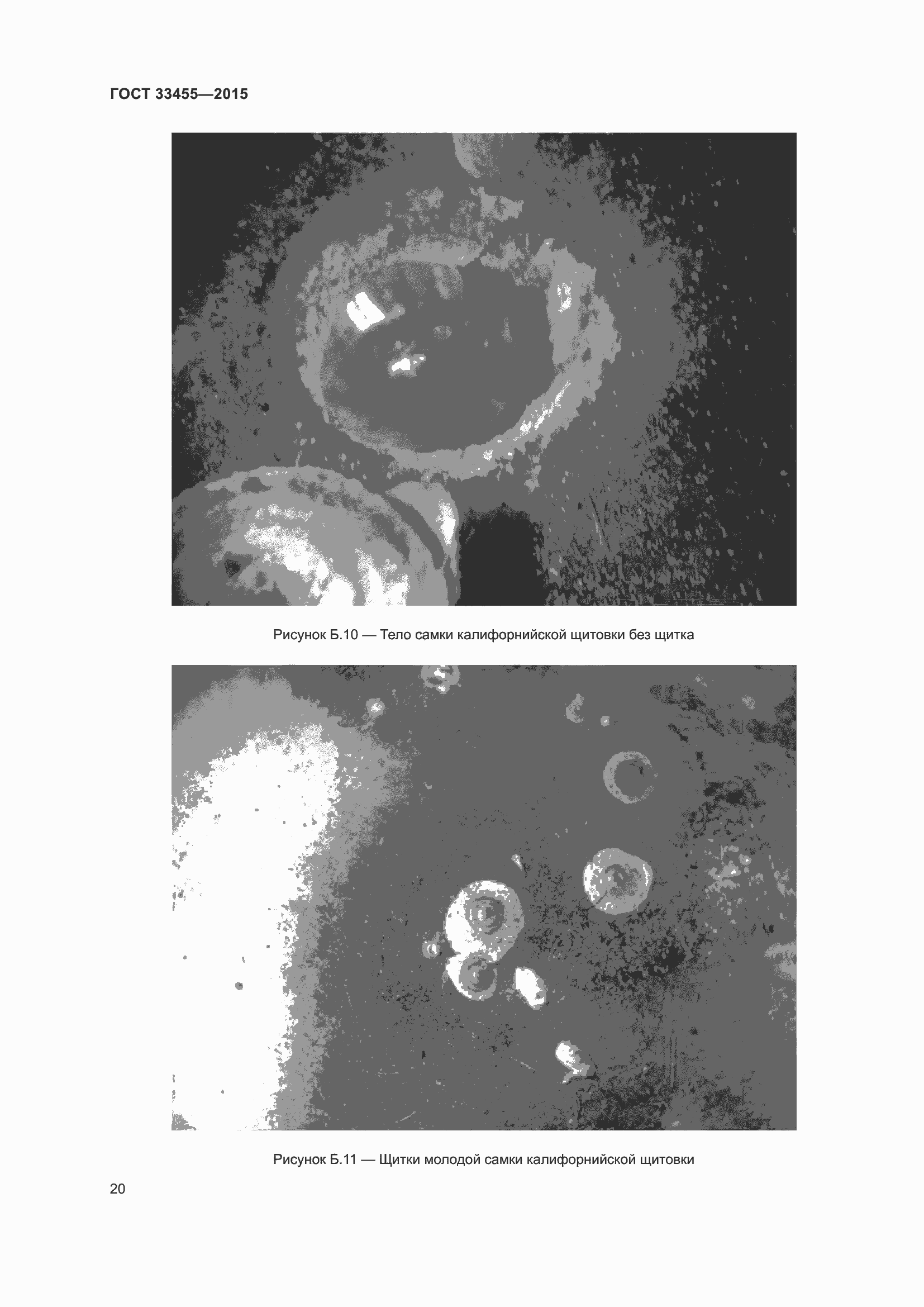 Страница 25 ГОСТ 33455-2015