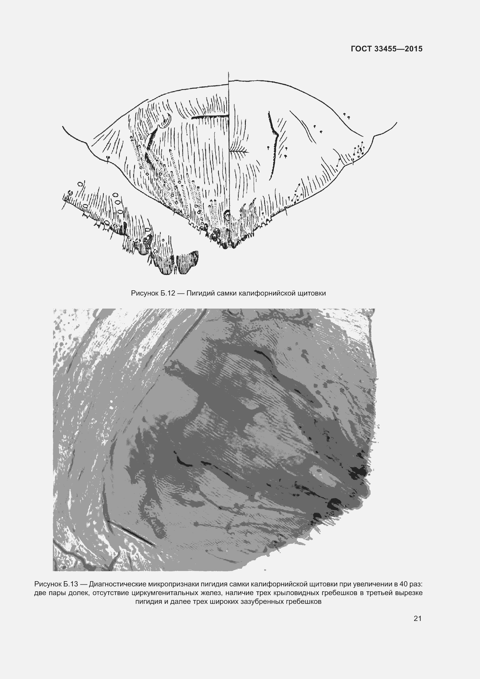 Страница 26 ГОСТ 33455-2015