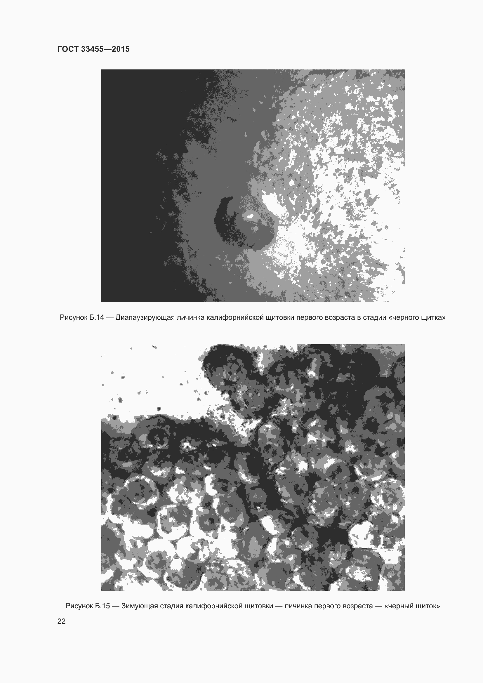 Страница 27 ГОСТ 33455-2015