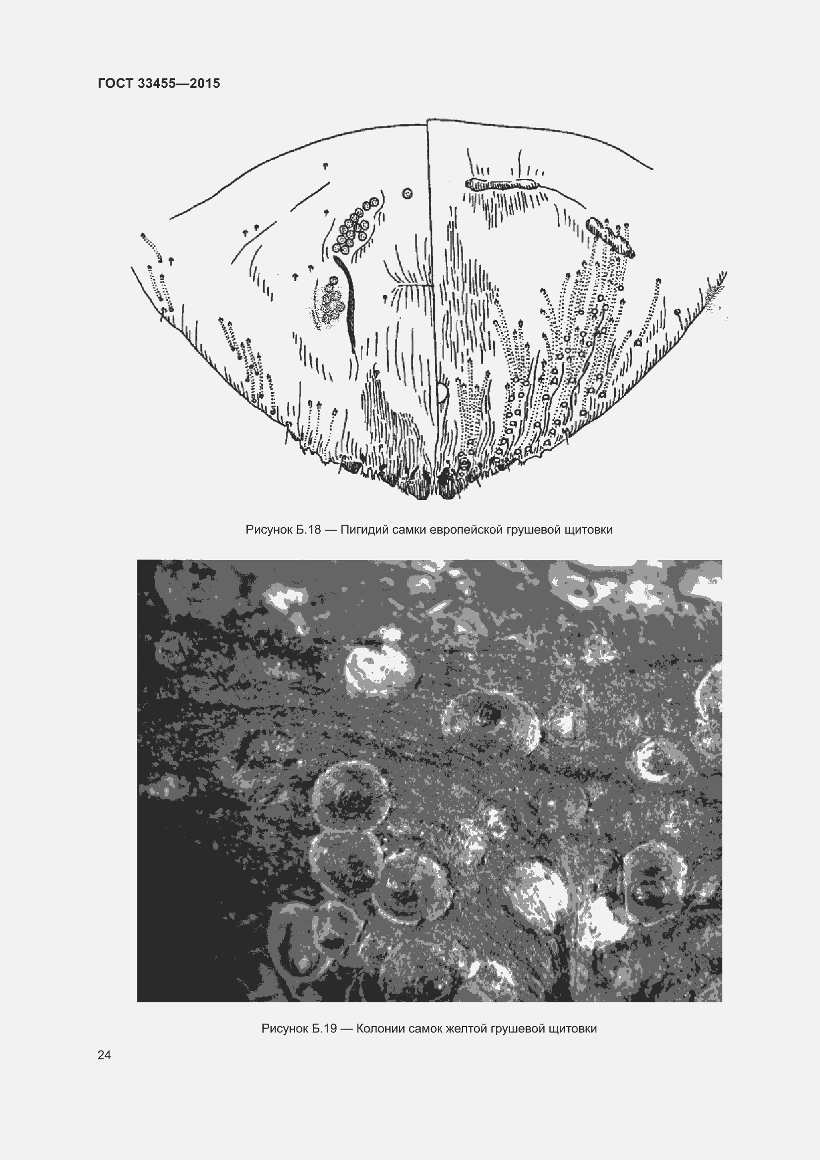 Страница 29 ГОСТ 33455-2015