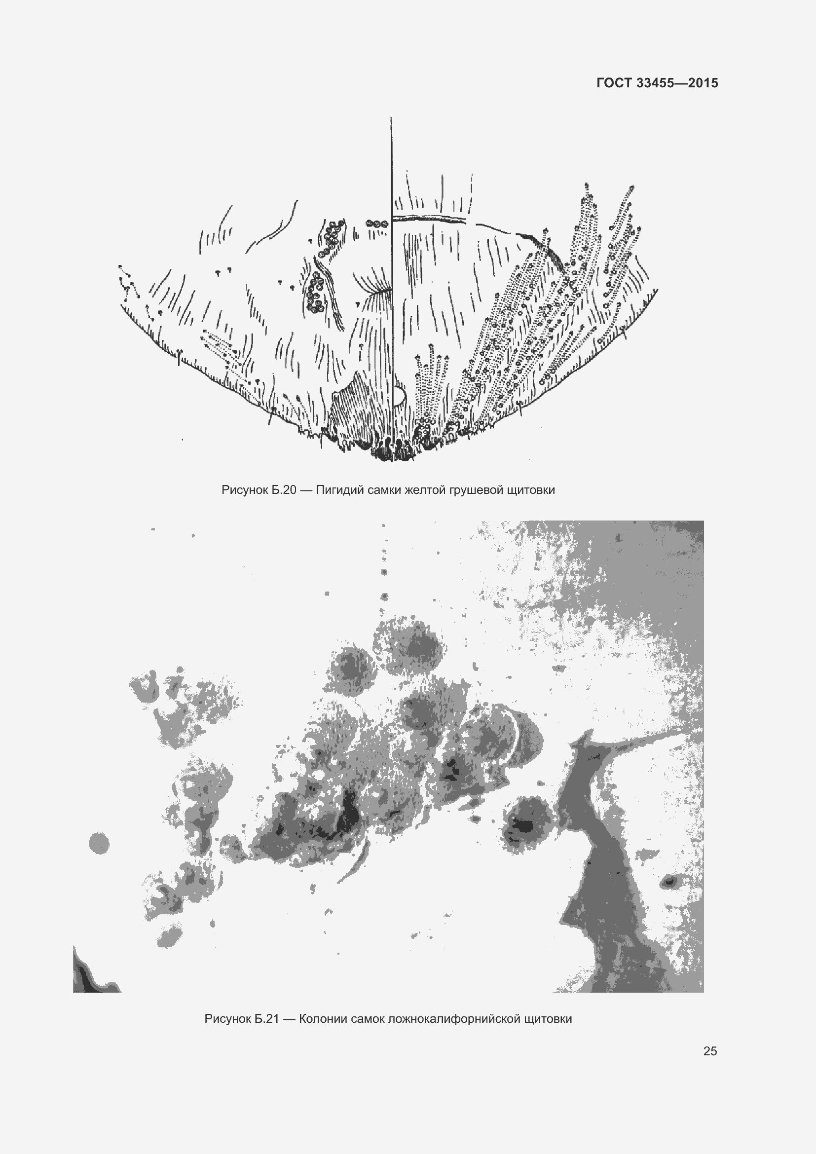 Страница 30 ГОСТ 33455-2015