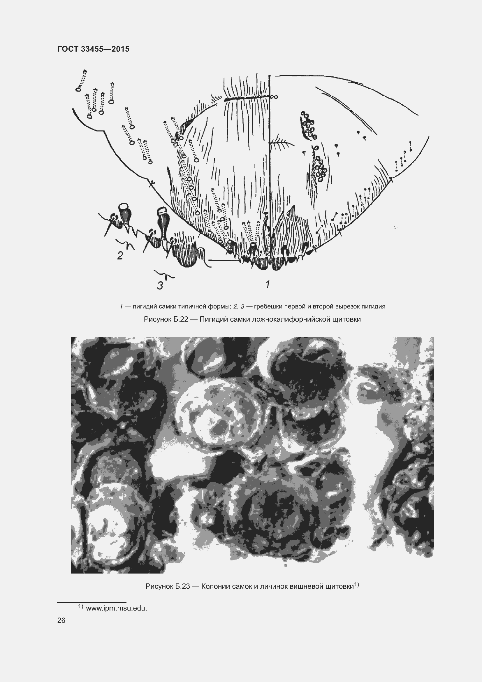 Страница 31 ГОСТ 33455-2015
