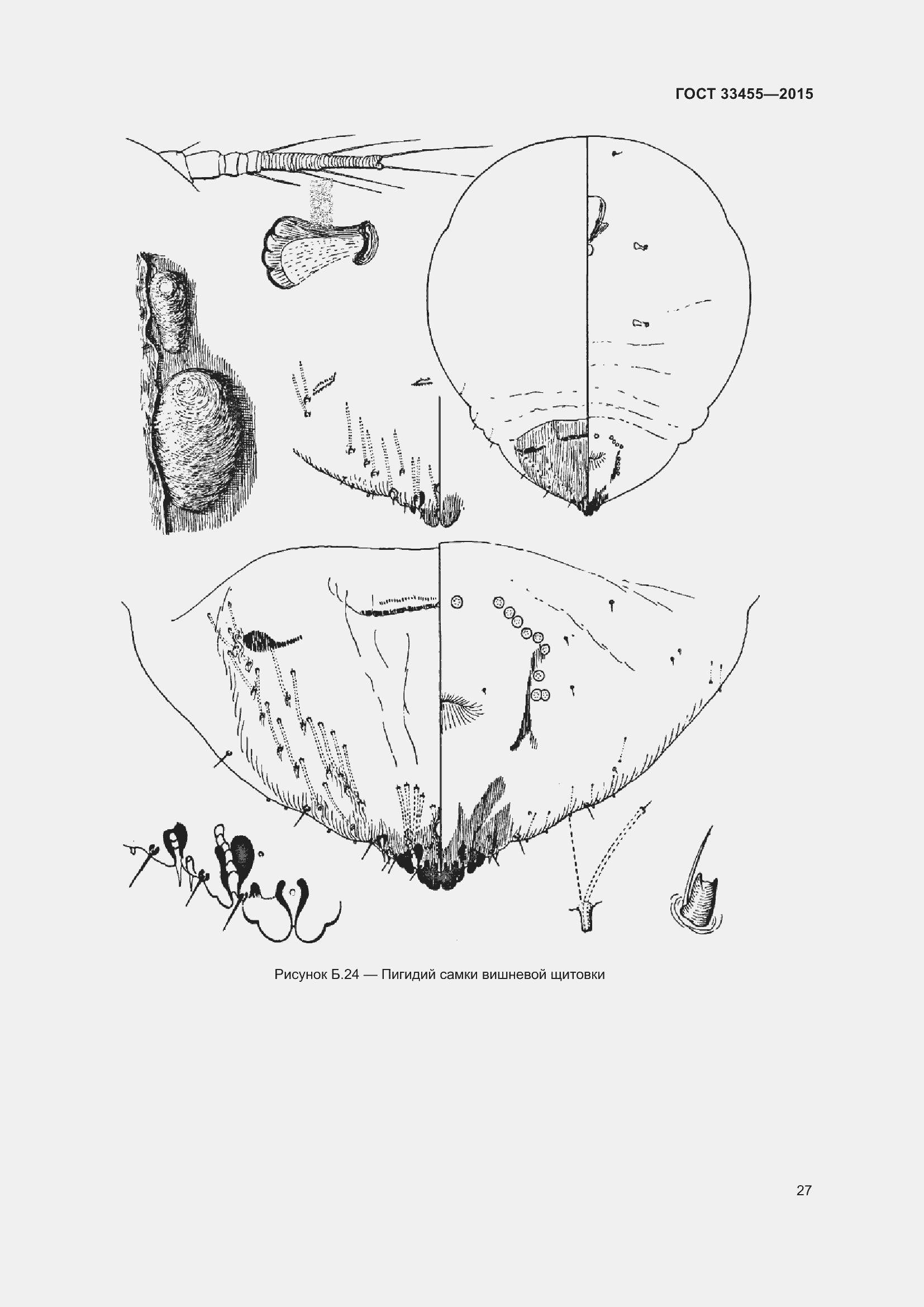 Страница 32 ГОСТ 33455-2015