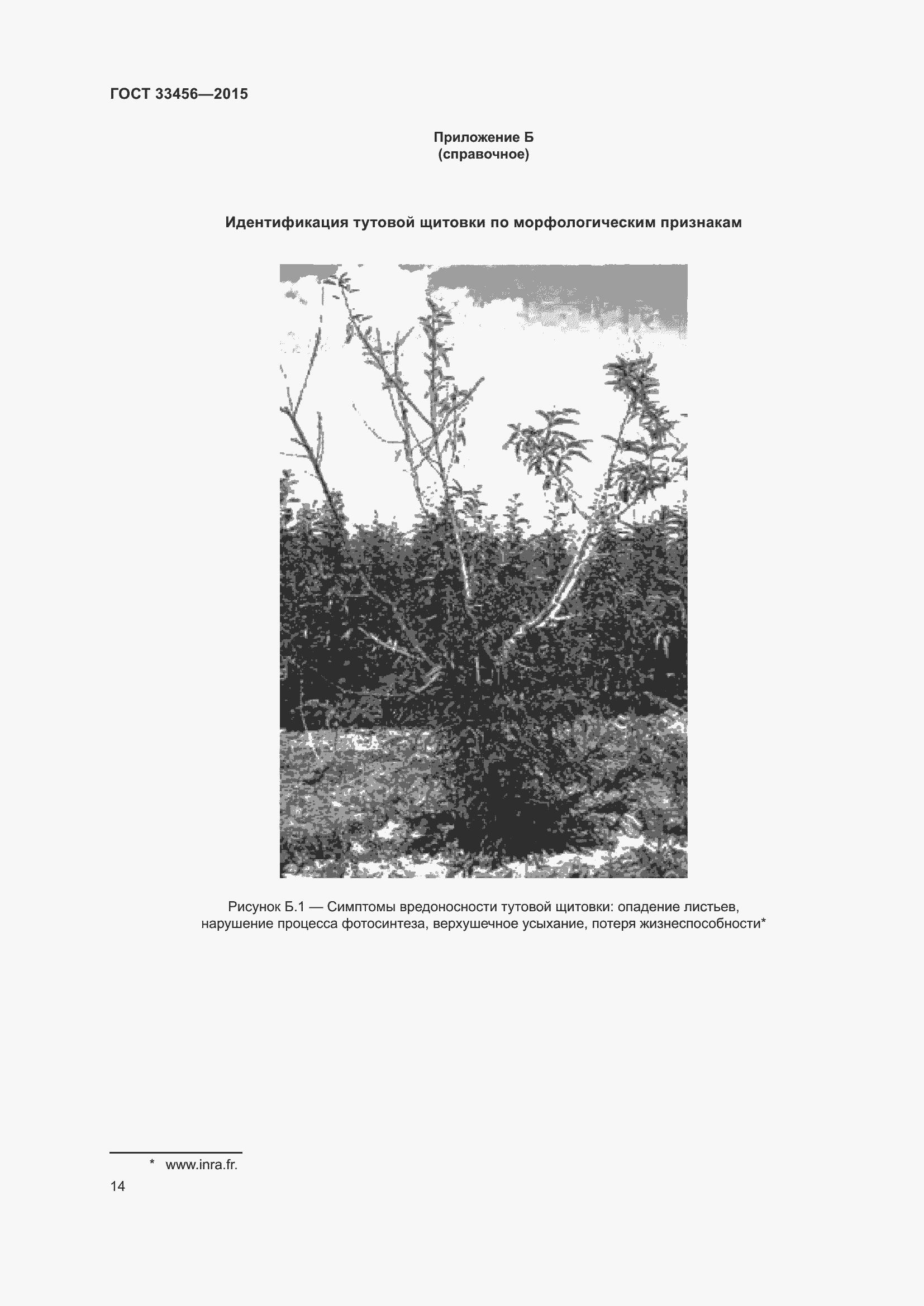 Страница 19 ГОСТ 33456-2015