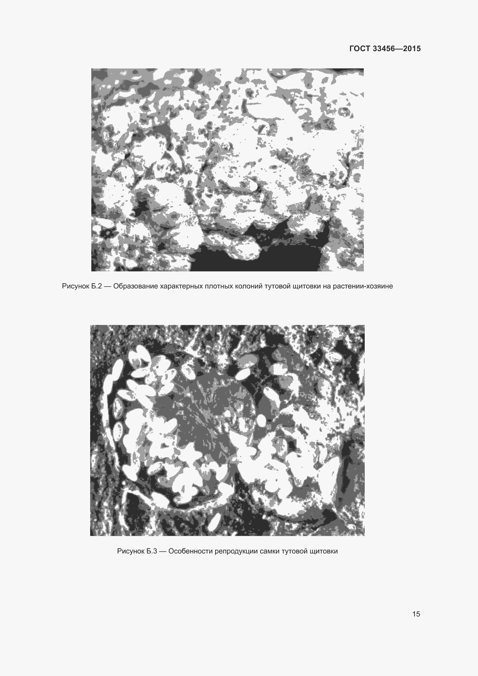 Страница 20 ГОСТ 33456-2015