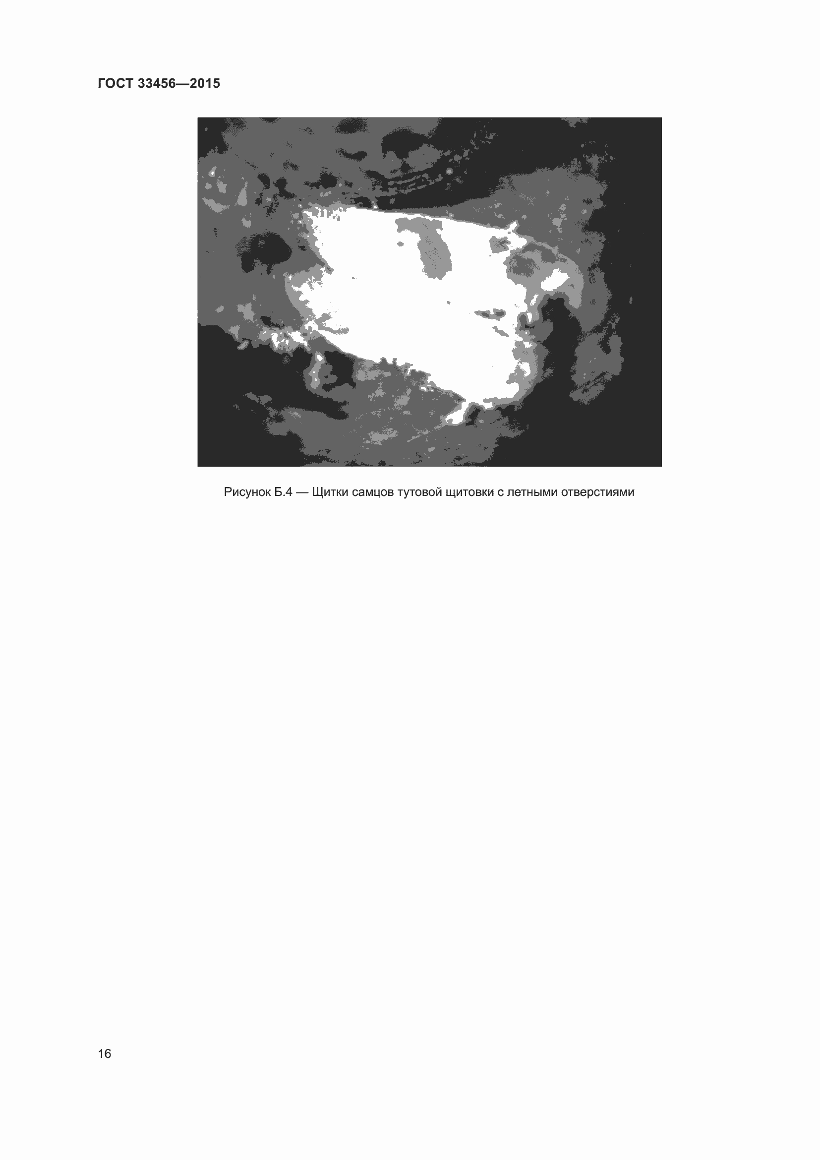 Страница 21 ГОСТ 33456-2015