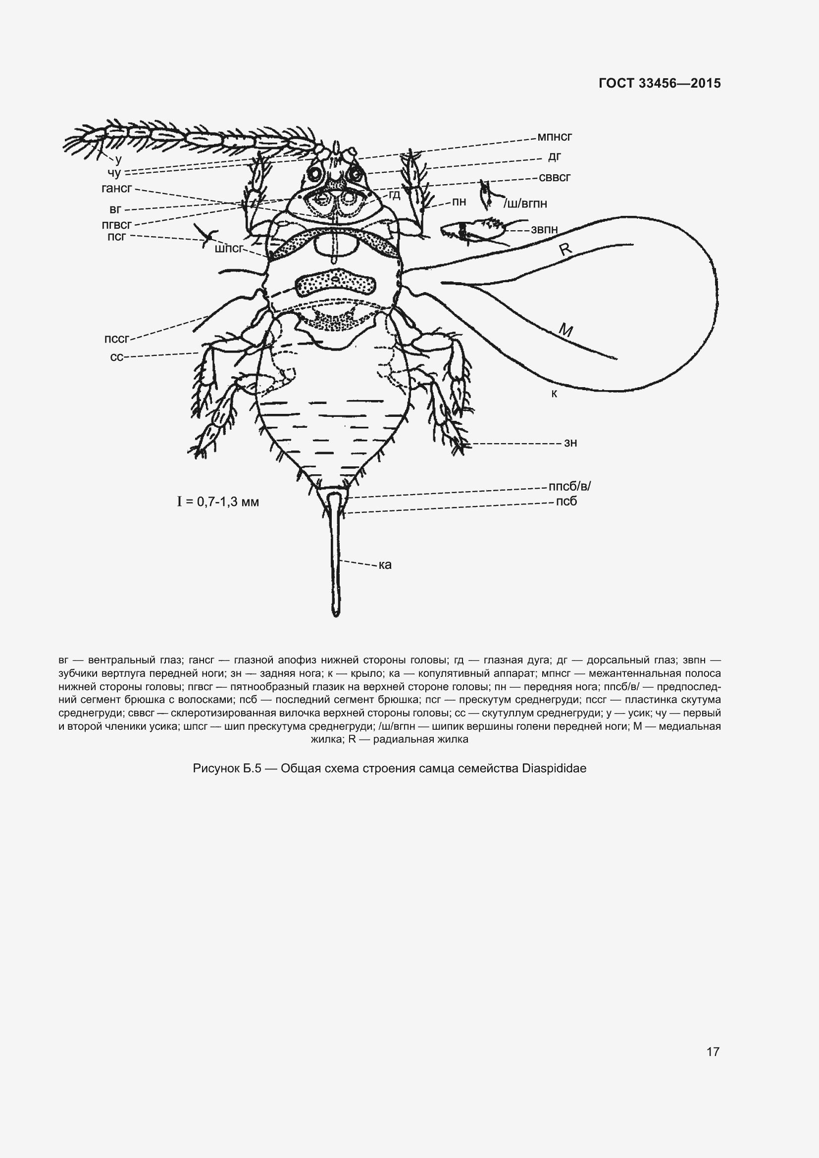 Страница 22 ГОСТ 33456-2015