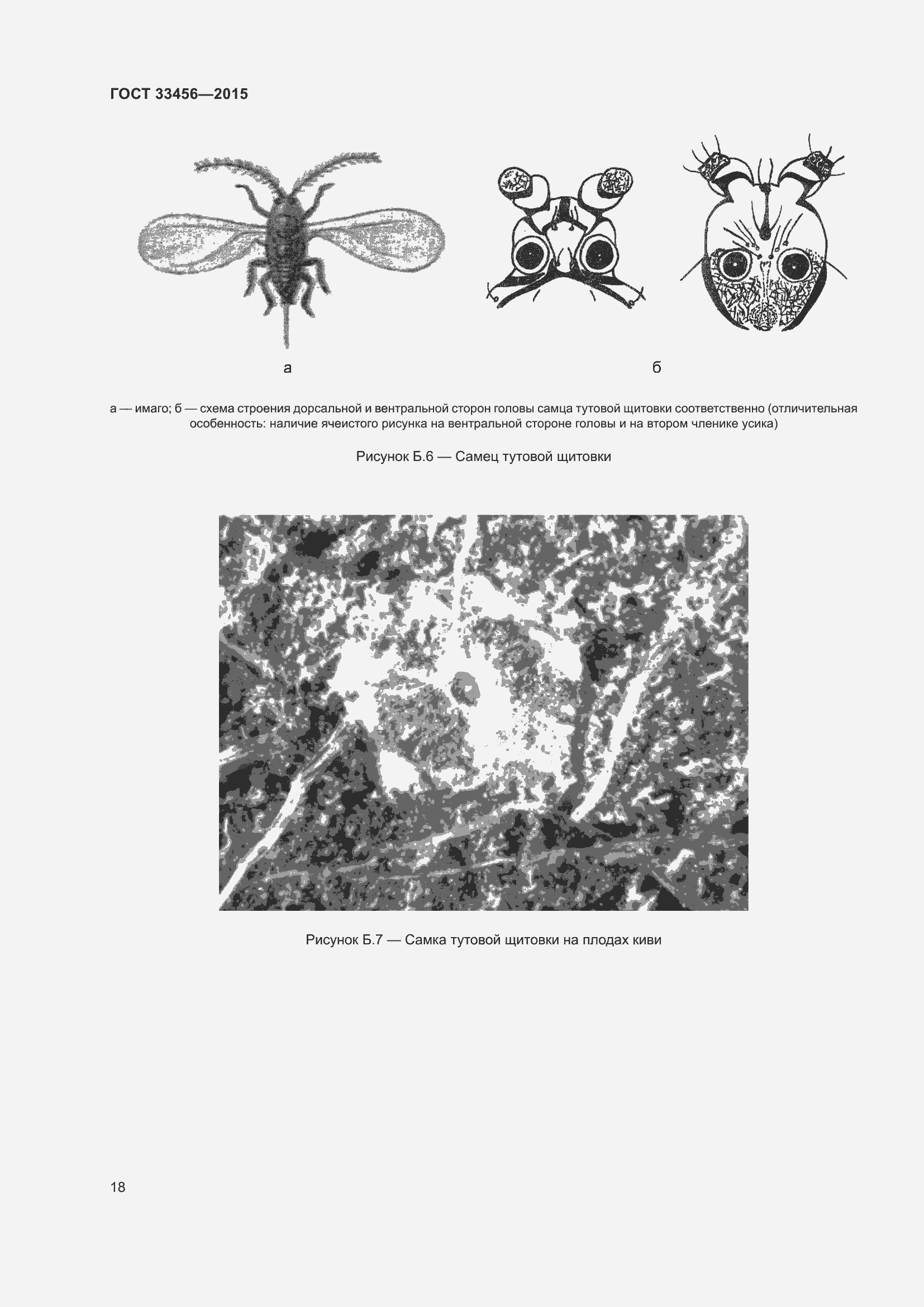 Страница 23 ГОСТ 33456-2015