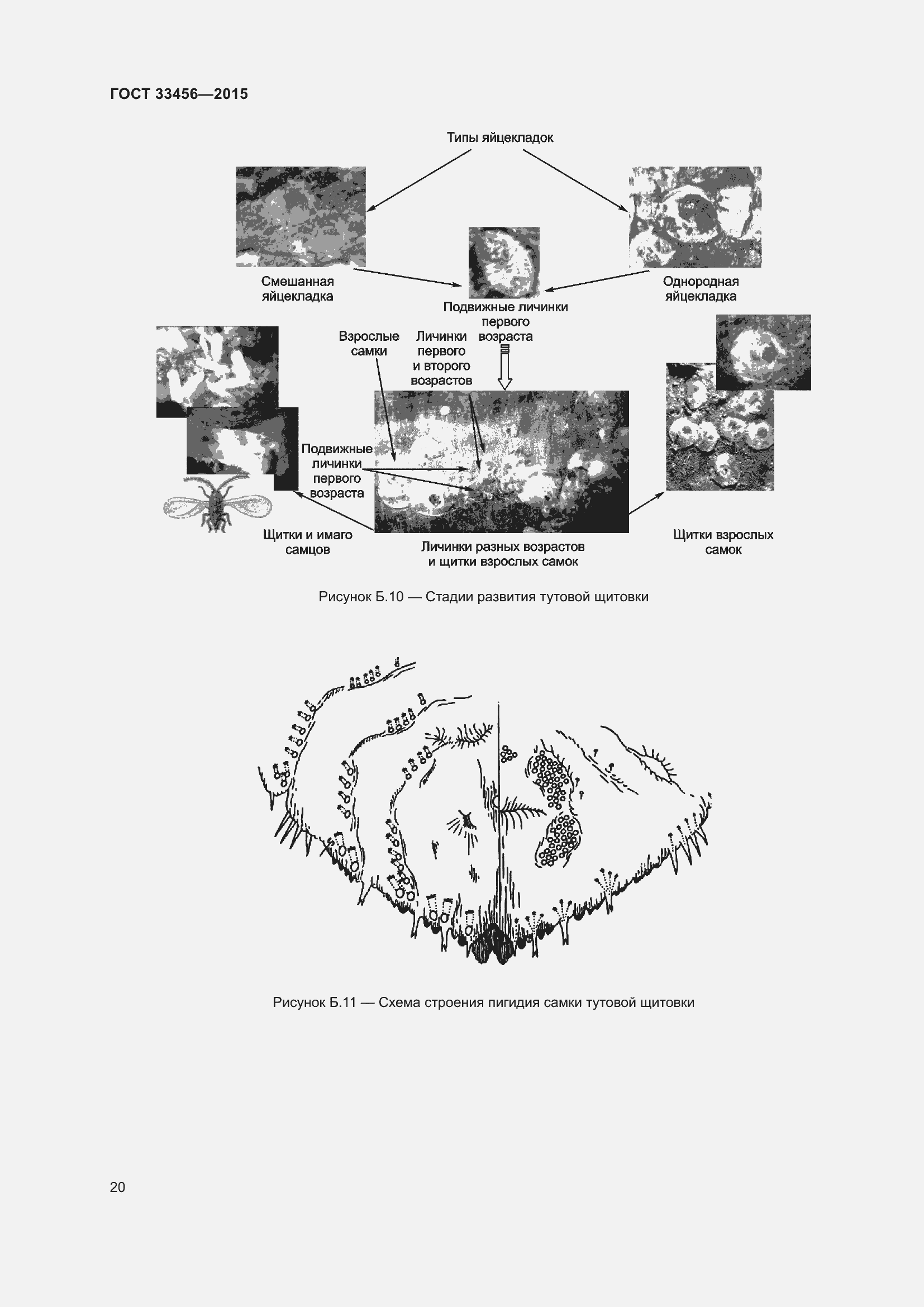 Страница 25 ГОСТ 33456-2015