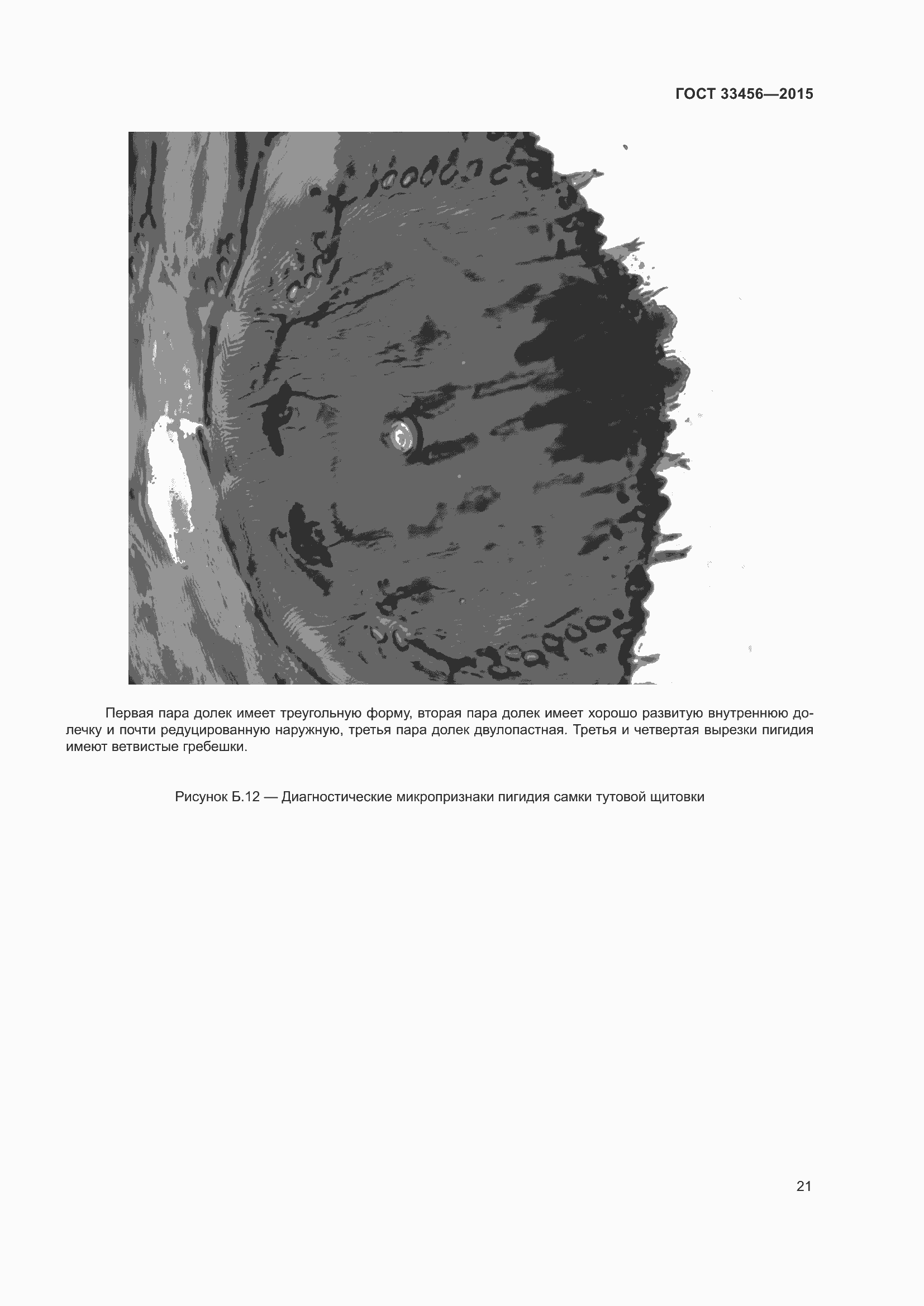 Страница 26 ГОСТ 33456-2015