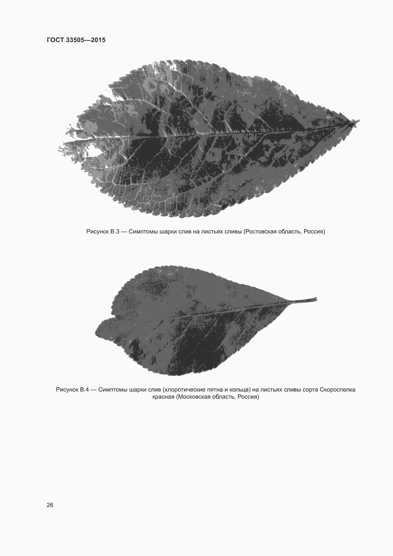 Страница 31 ГОСТ 33505-2015