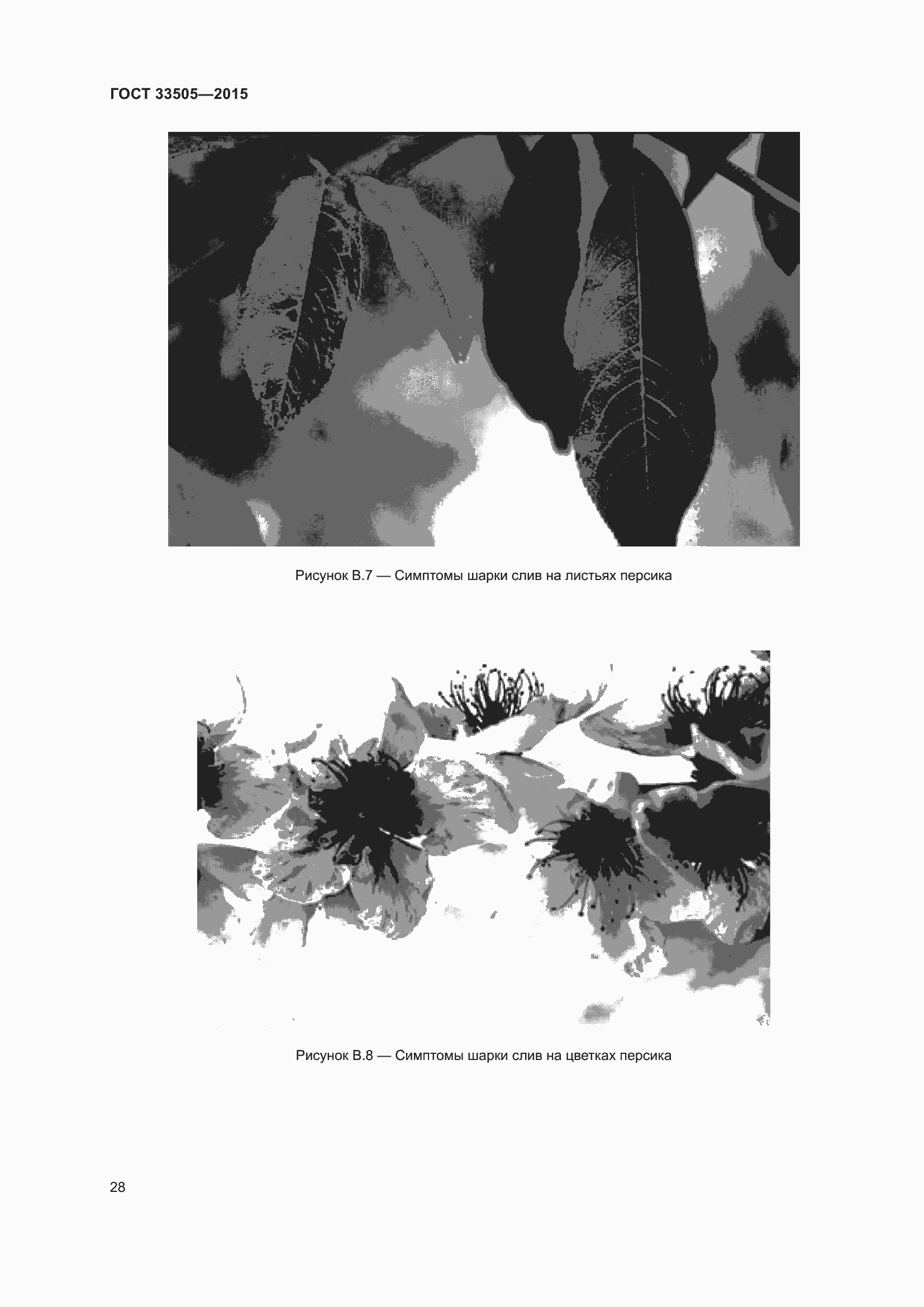 Страница 33 ГОСТ 33505-2015