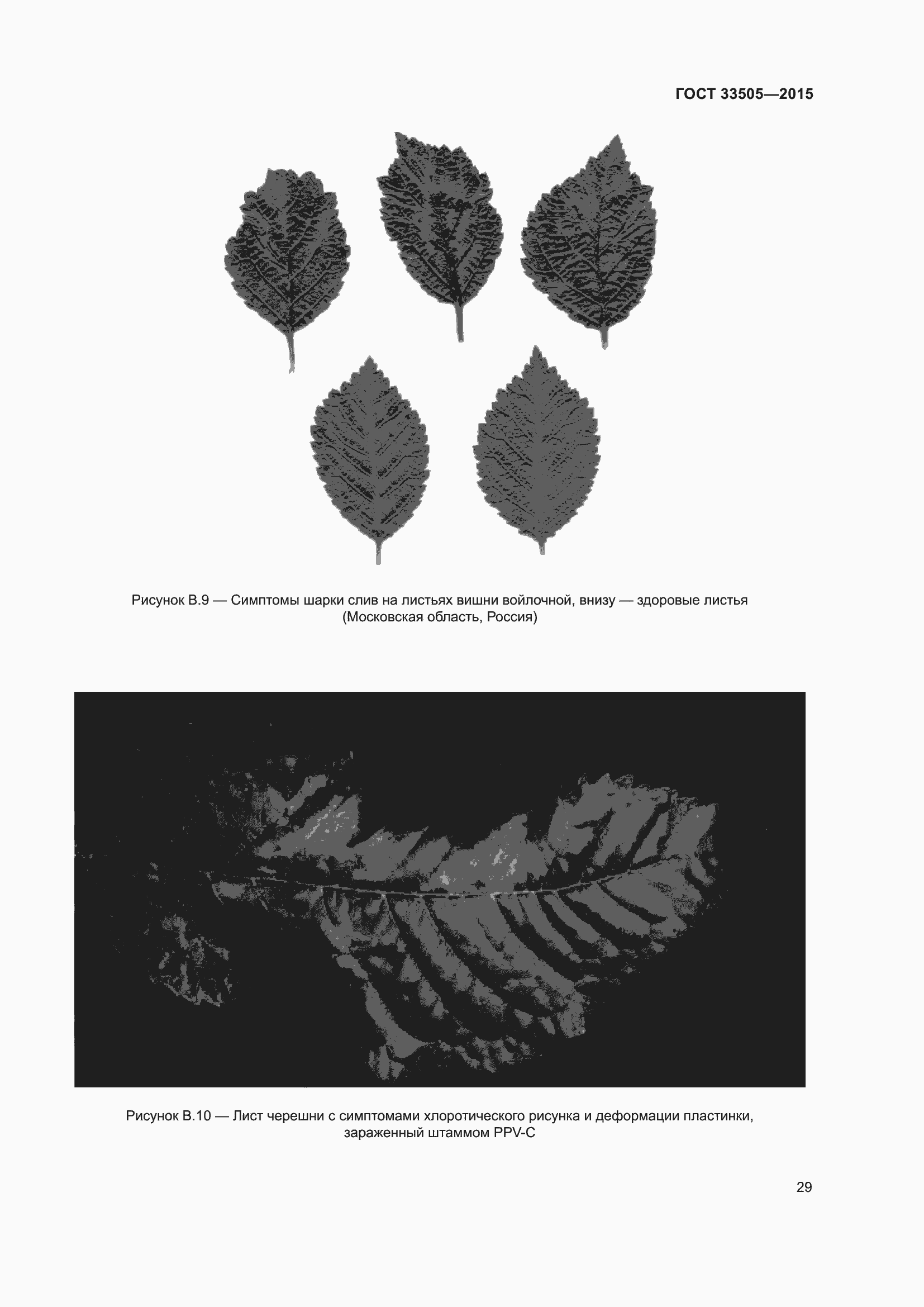 Страница 34 ГОСТ 33505-2015
