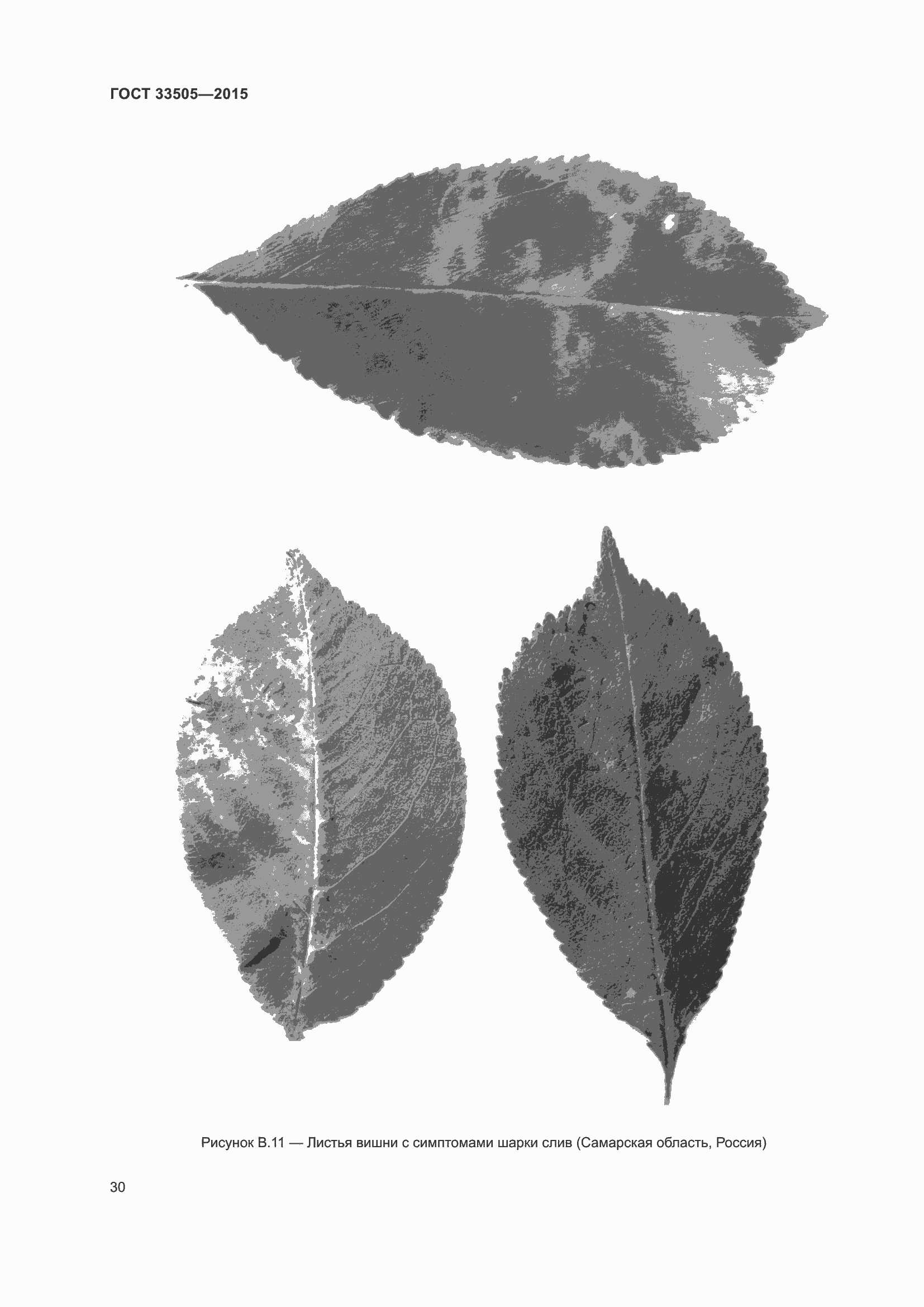 Страница 35 ГОСТ 33505-2015