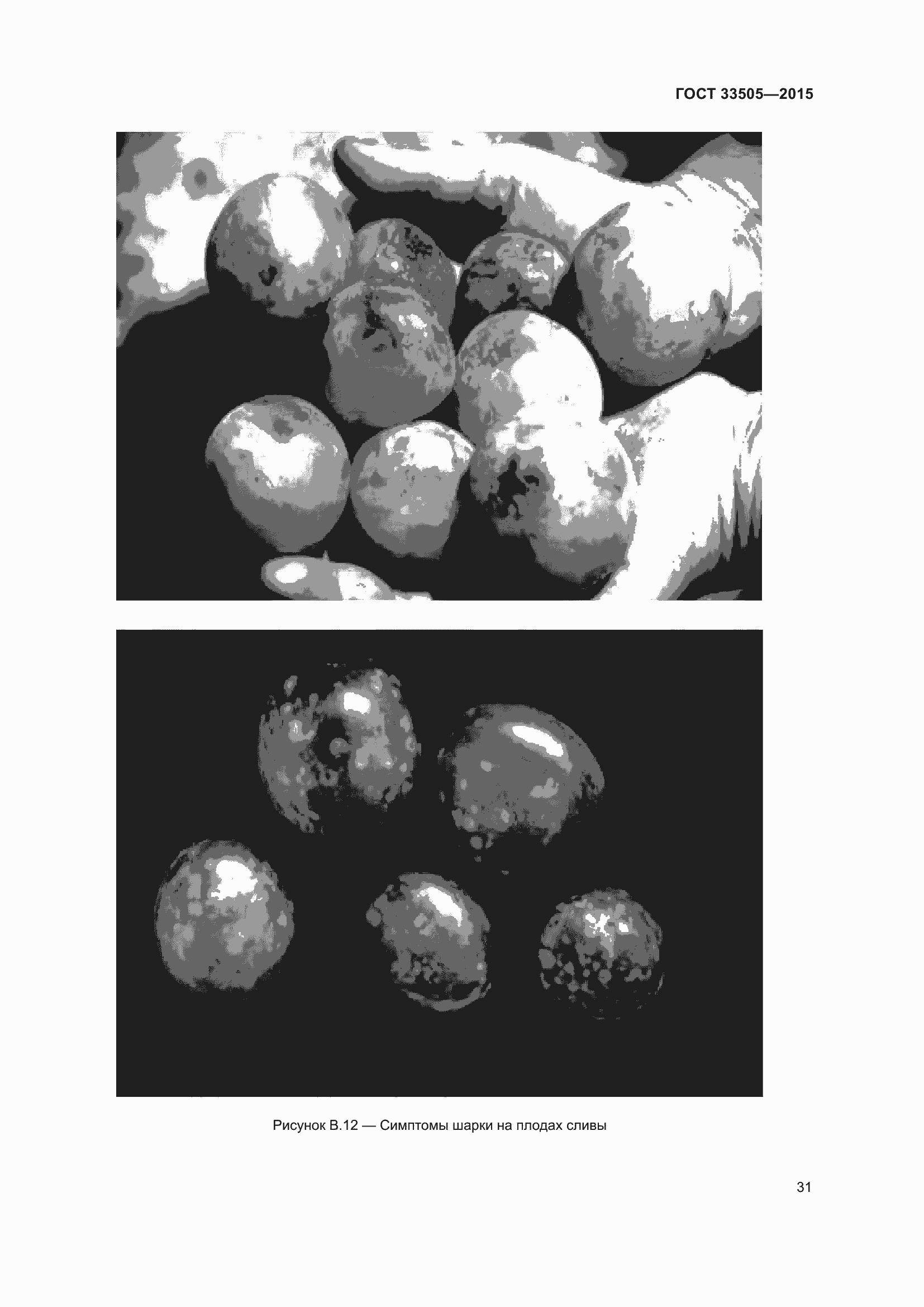 Страница 36 ГОСТ 33505-2015