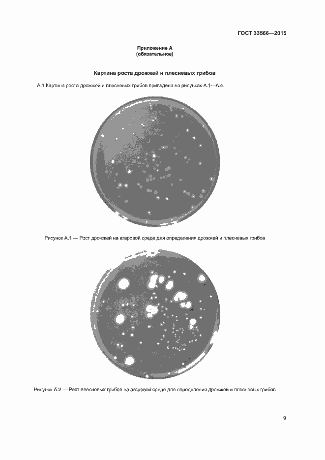 Страница 11 ГОСТ 33566-2015