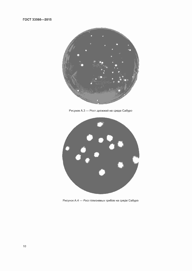 Страница 12 ГОСТ 33566-2015