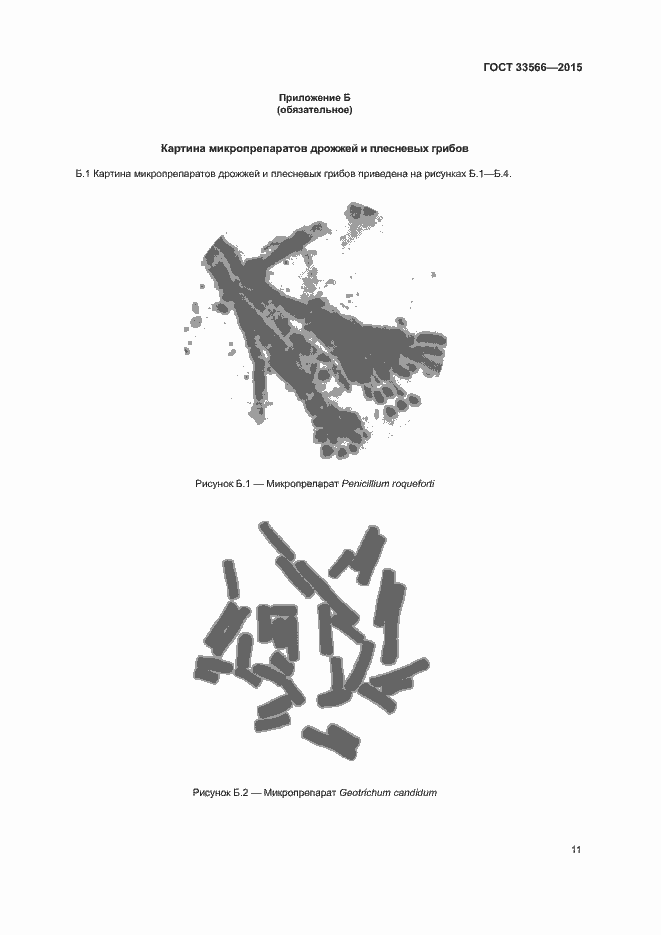 Страница 13 ГОСТ 33566-2015