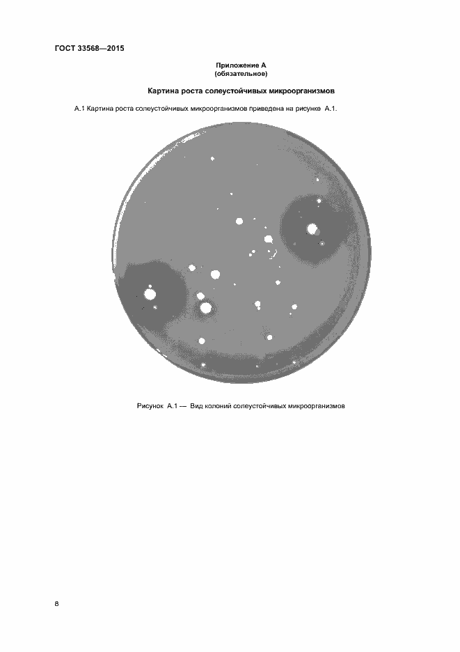 Страница 10 ГОСТ 33568-2015