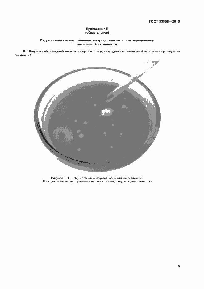 Страница 11 ГОСТ 33568-2015