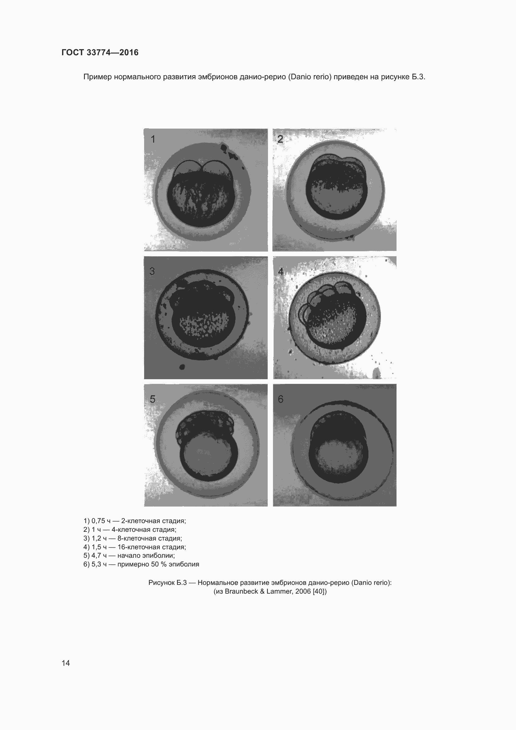 Страница 21 ГОСТ 33774-2016