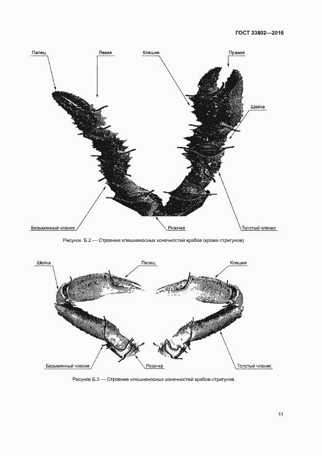Страница 13 ГОСТ 33802-2016