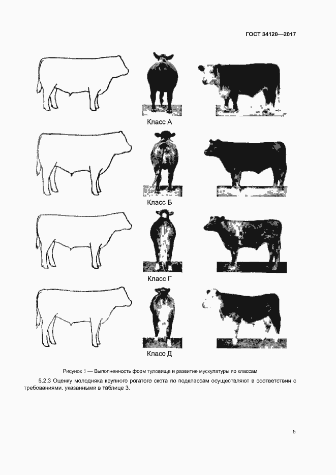 Страница 8 ГОСТ 34120-2017