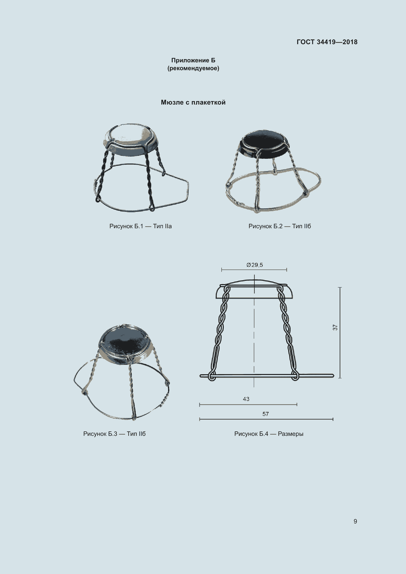 Страница 14 ГОСТ 34419-2018