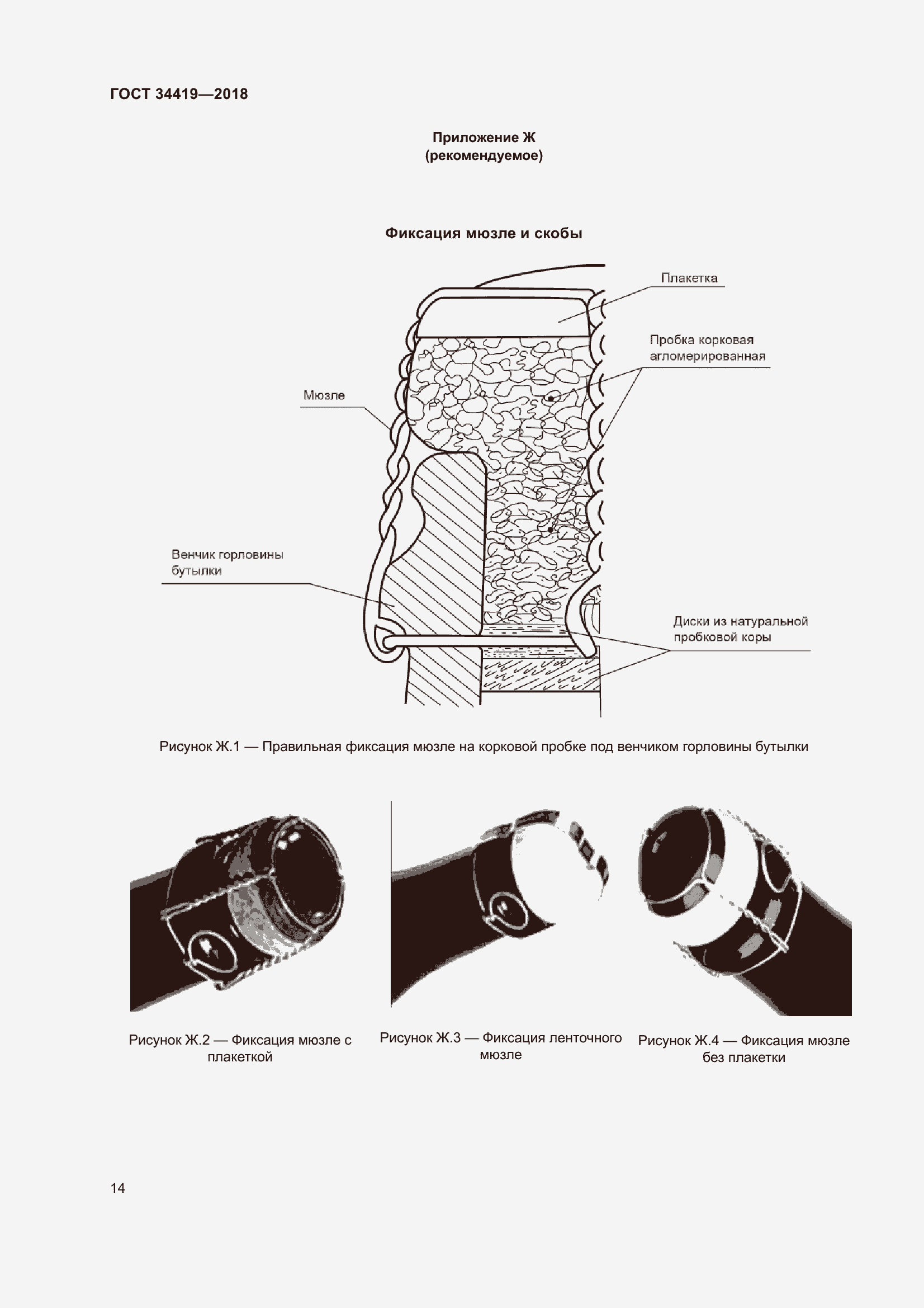 Страница 19 ГОСТ 34419-2018