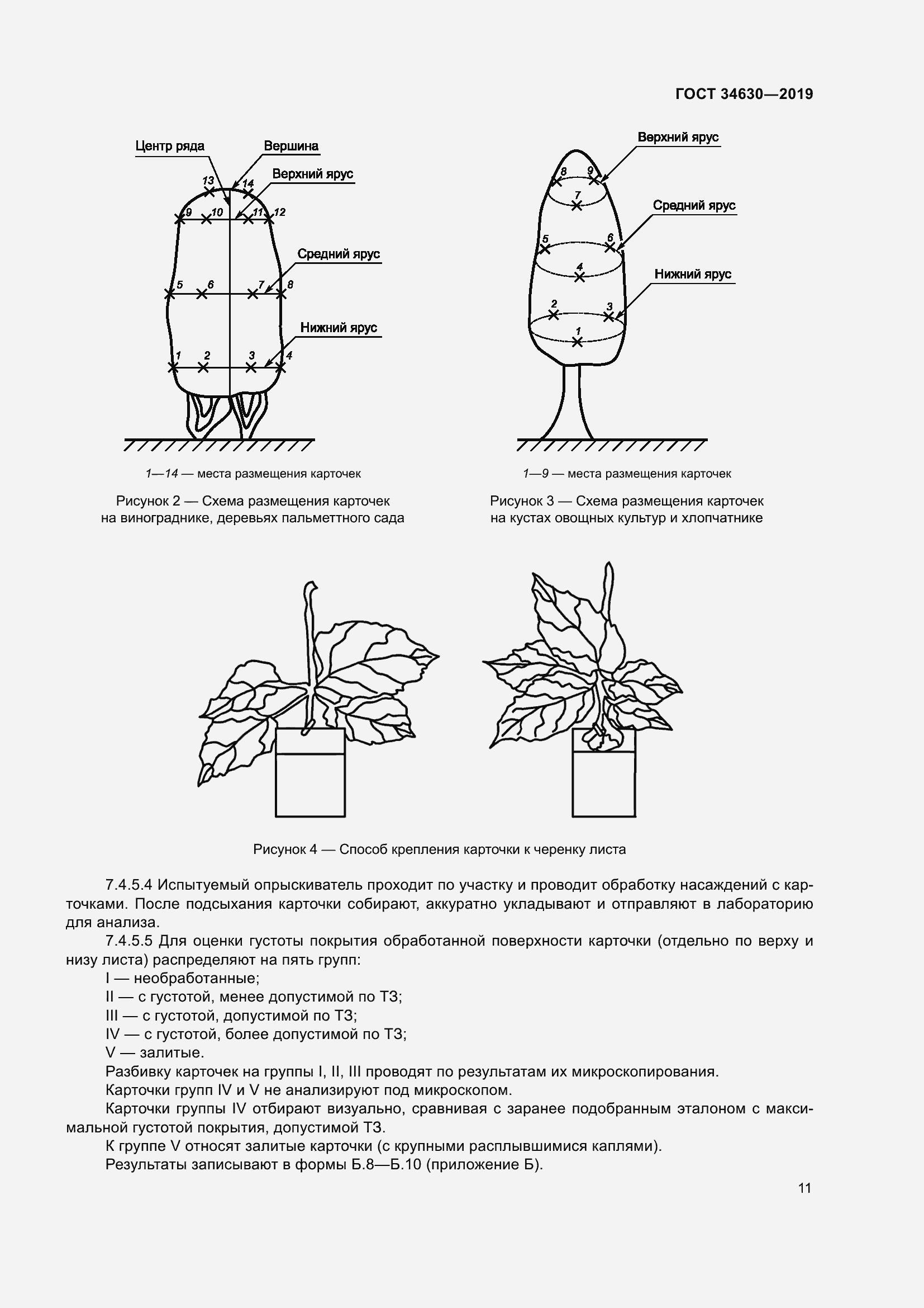 Страница 17 ГОСТ 34630-2019