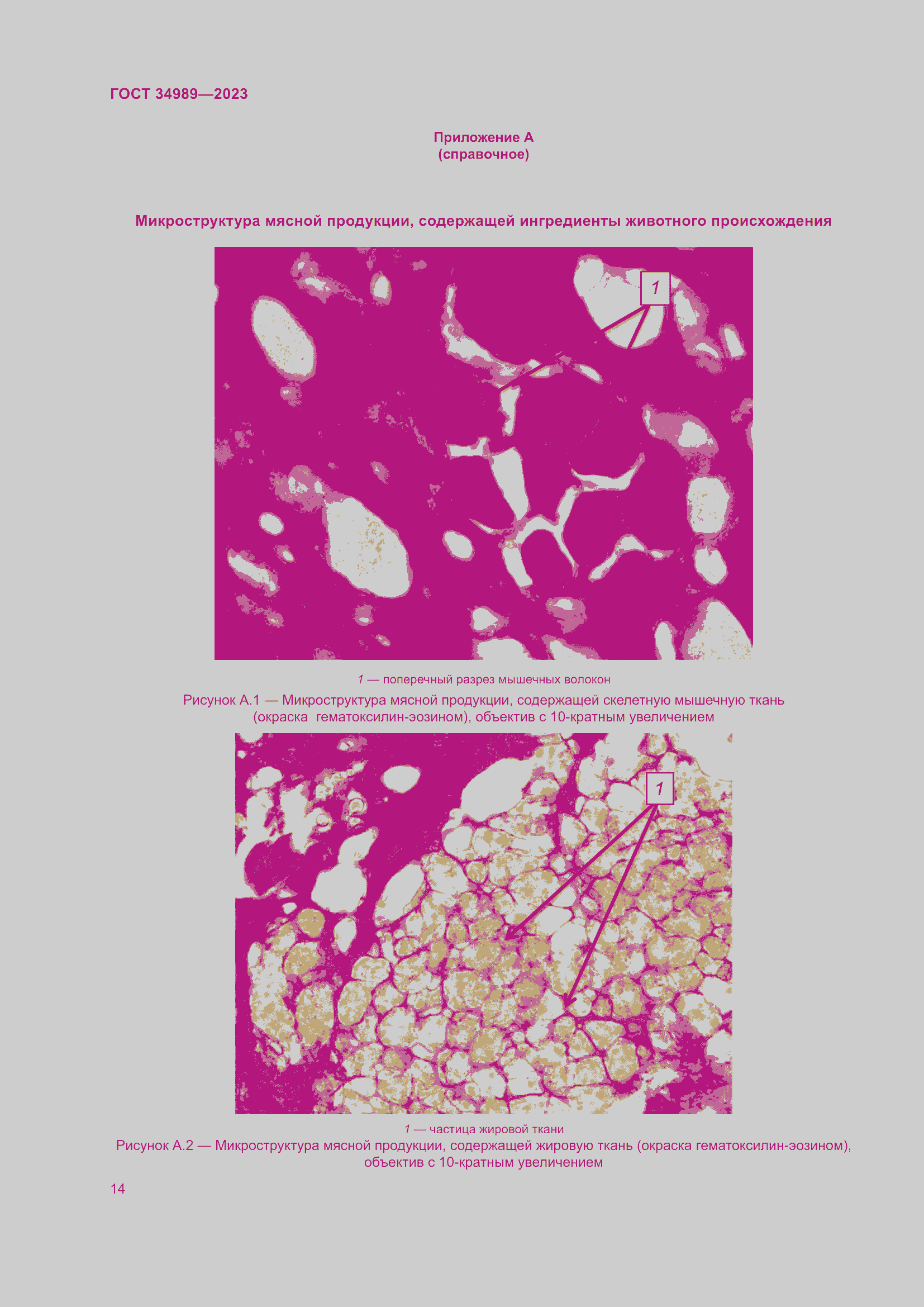 Страница 19 ГОСТ 34989-2023