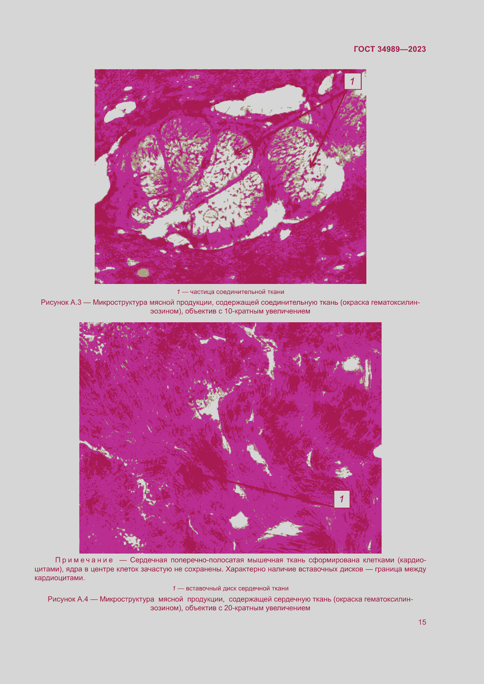 Страница 20 ГОСТ 34989-2023