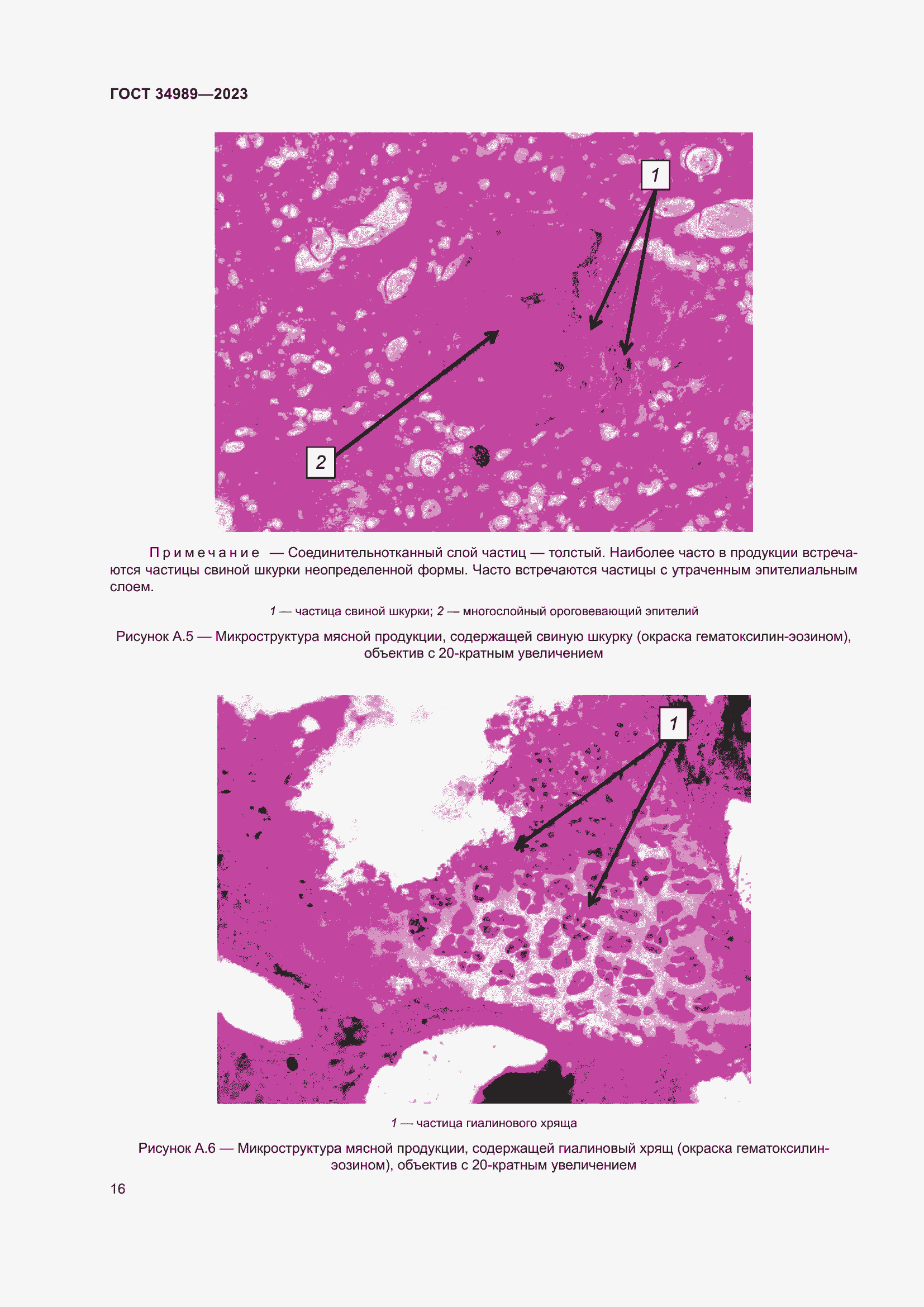Страница 21 ГОСТ 34989-2023